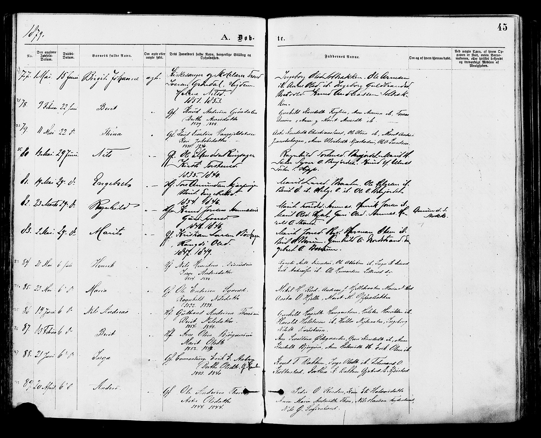 Nord-Aurdal prestekontor, SAH/PREST-132/H/Ha/Haa/L0009: Parish register (official) no. 9, 1876-1882, p. 45