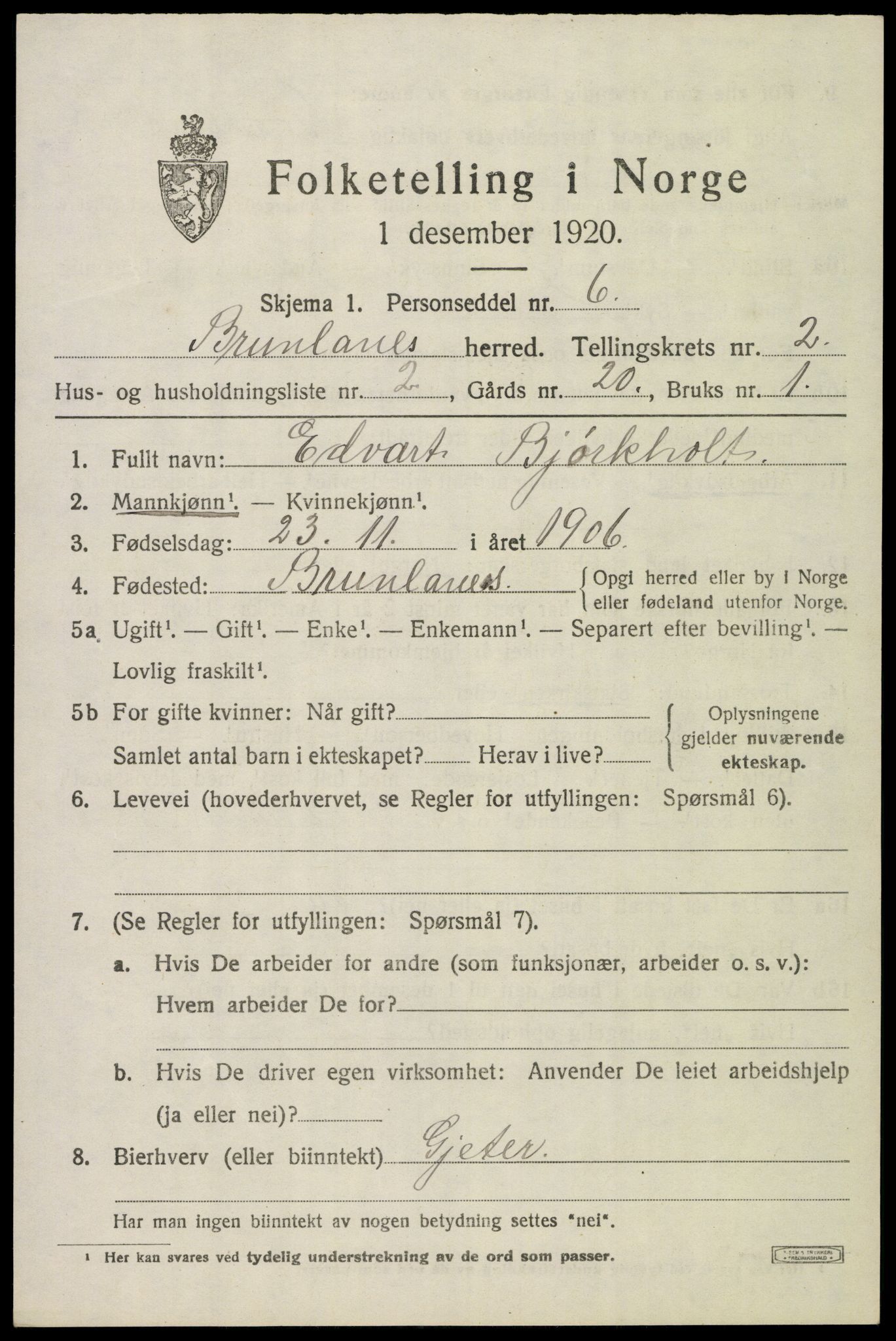 SAKO, 1920 census for Brunlanes, 1920, p. 3331