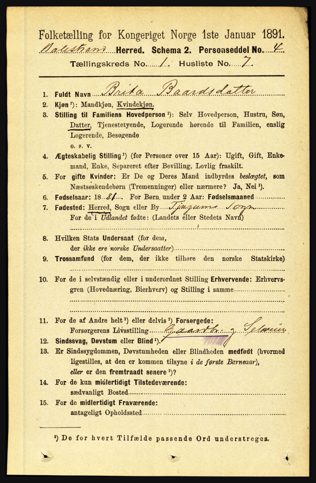 RA, 1891 census for 1418 Balestrand, 1891, p. 102