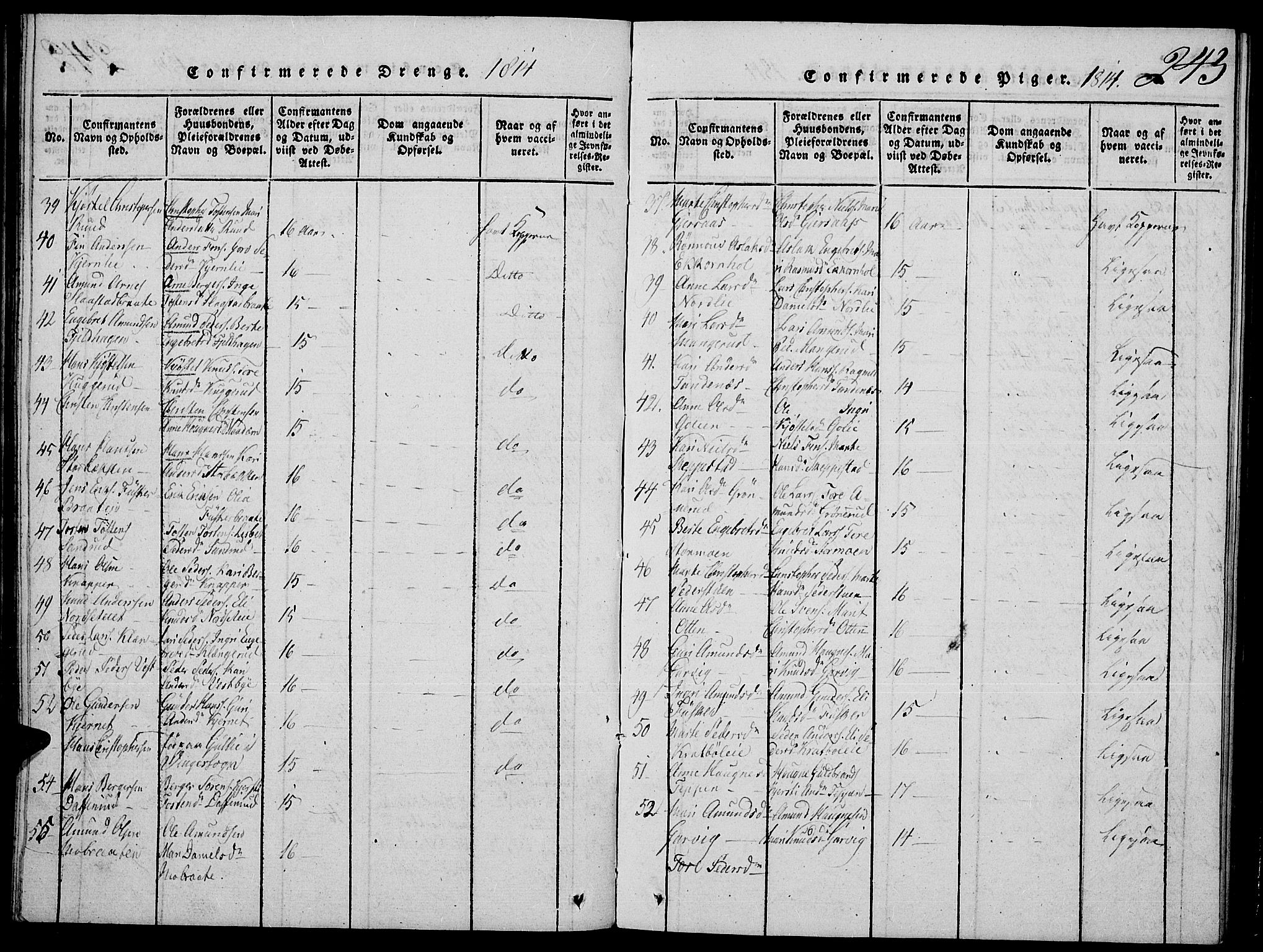 Strøm-Odalen prestekontor, AV/SAH-PREST-028/H/Ha/Hab/L0001: Parish register (copy) no. 1, 1813-1825, p. 243