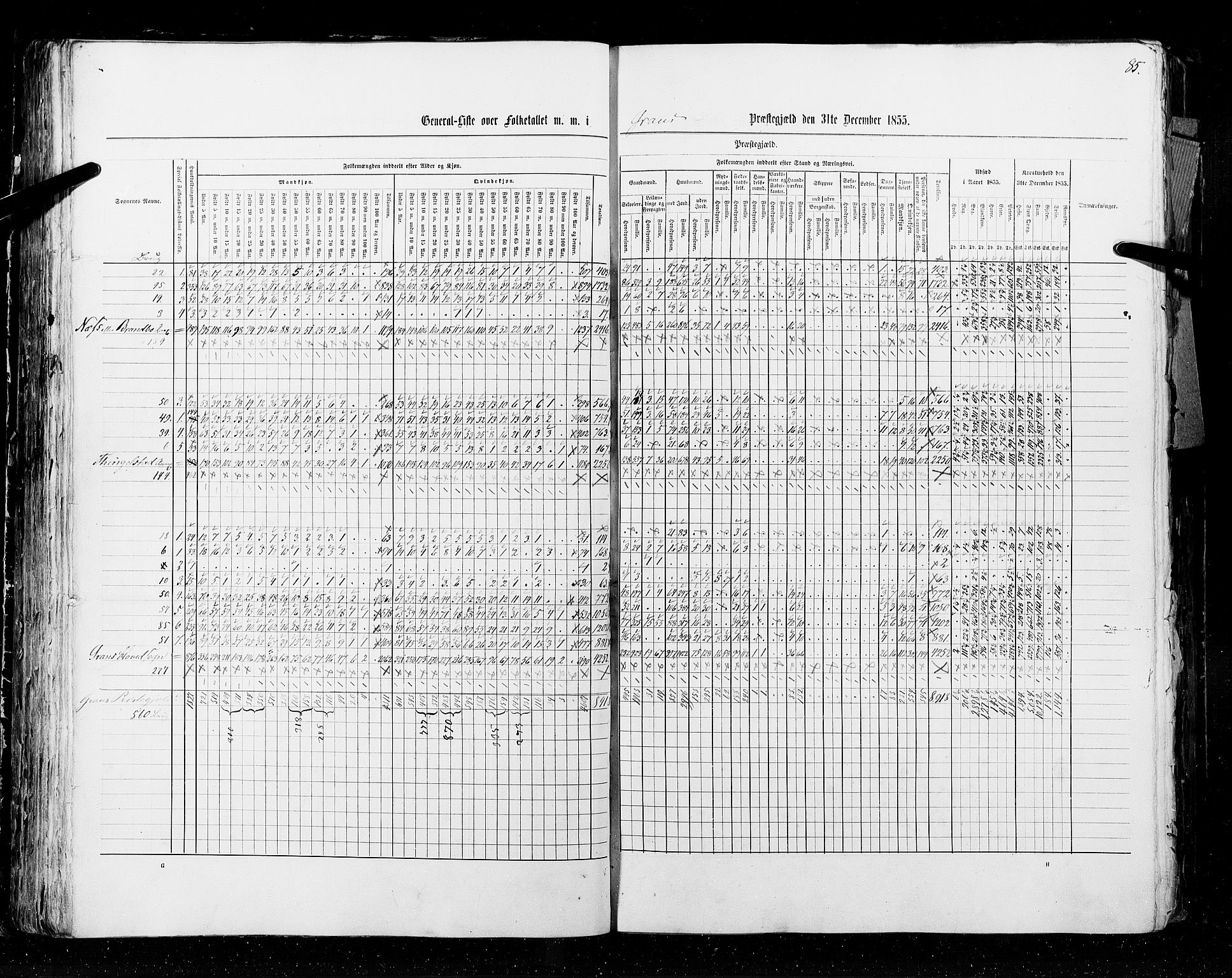 RA, Census 1855, vol. 2: Kristians amt, Buskerud amt og Jarlsberg og Larvik amt, 1855, p. 85