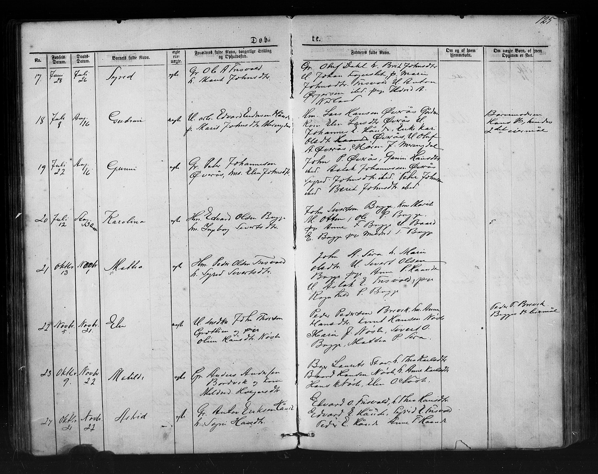 Ministerialprotokoller, klokkerbøker og fødselsregistre - Møre og Romsdal, AV/SAT-A-1454/552/L0638: Parish register (copy) no. 552C01, 1867-1902, p. 125