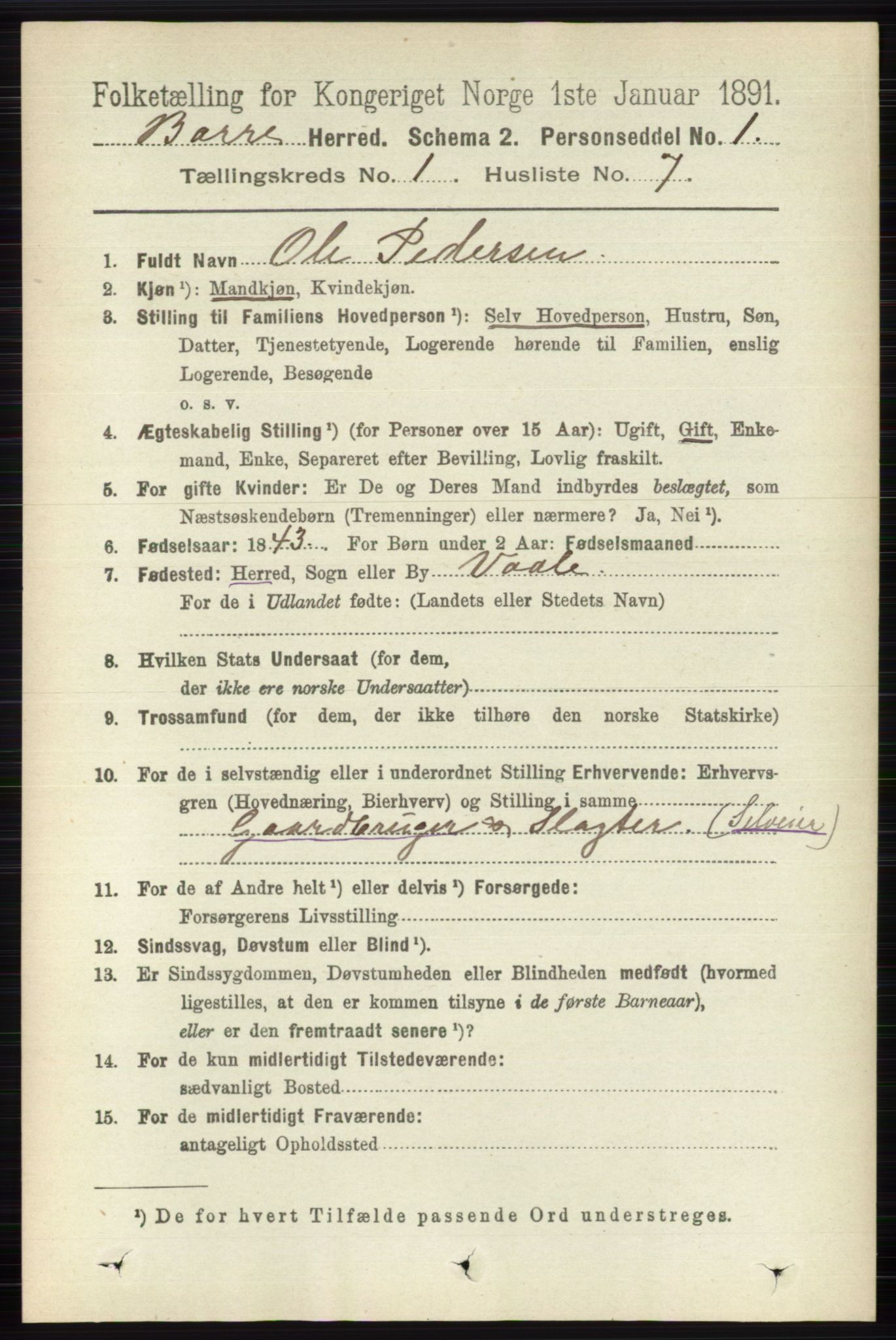 RA, 1891 census for 0717 Borre, 1891, p. 175