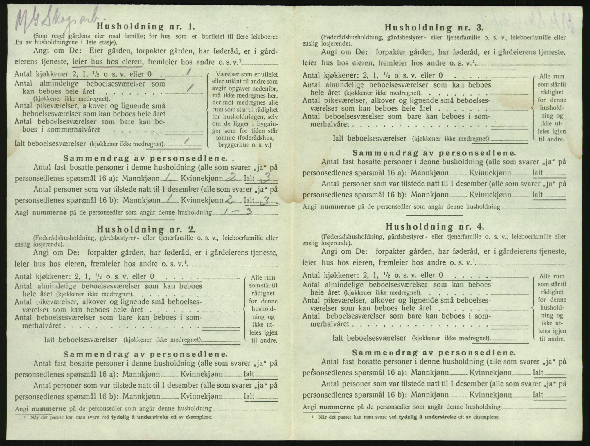 SAKO, 1920 census for Brunlanes, 1920, p. 896