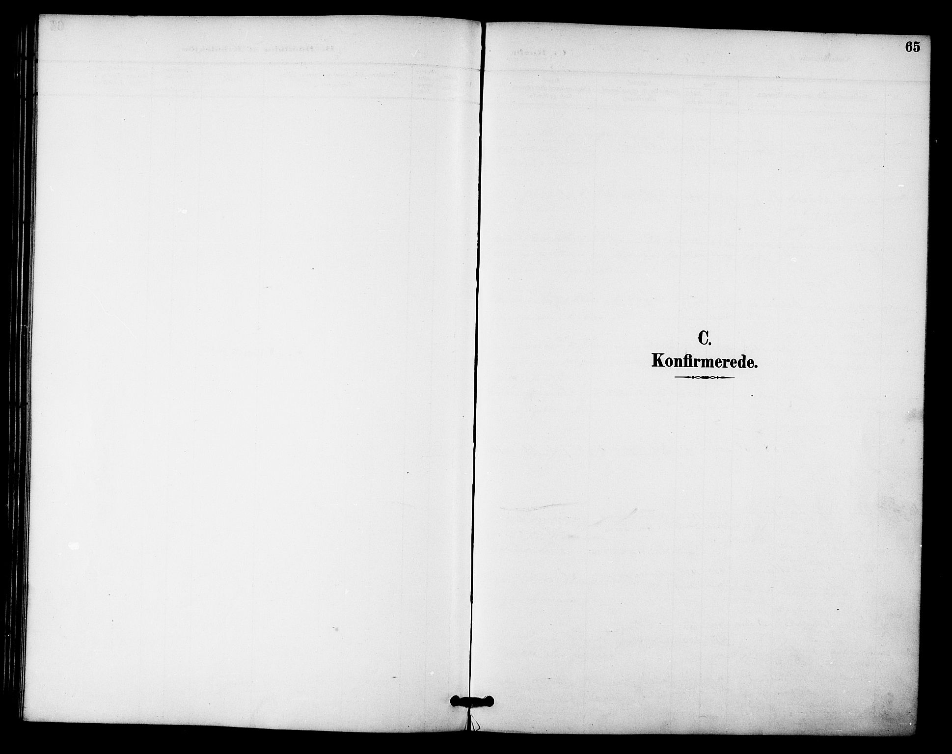 Ministerialprotokoller, klokkerbøker og fødselsregistre - Nordland, SAT/A-1459/840/L0580: Parish register (official) no. 840A02, 1887-1909, p. 65