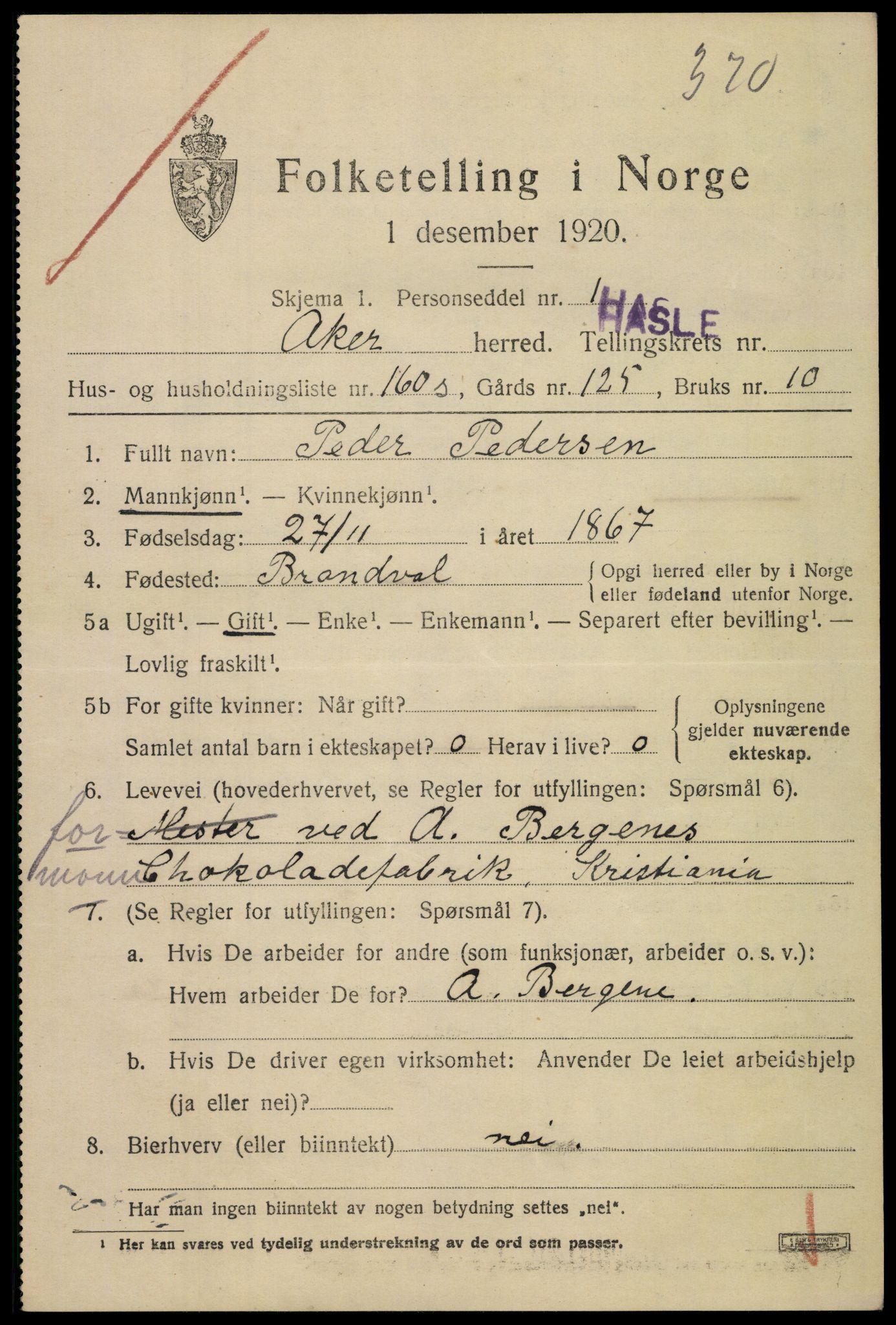 SAO, 1920 census for Aker, 1920, p. 115482