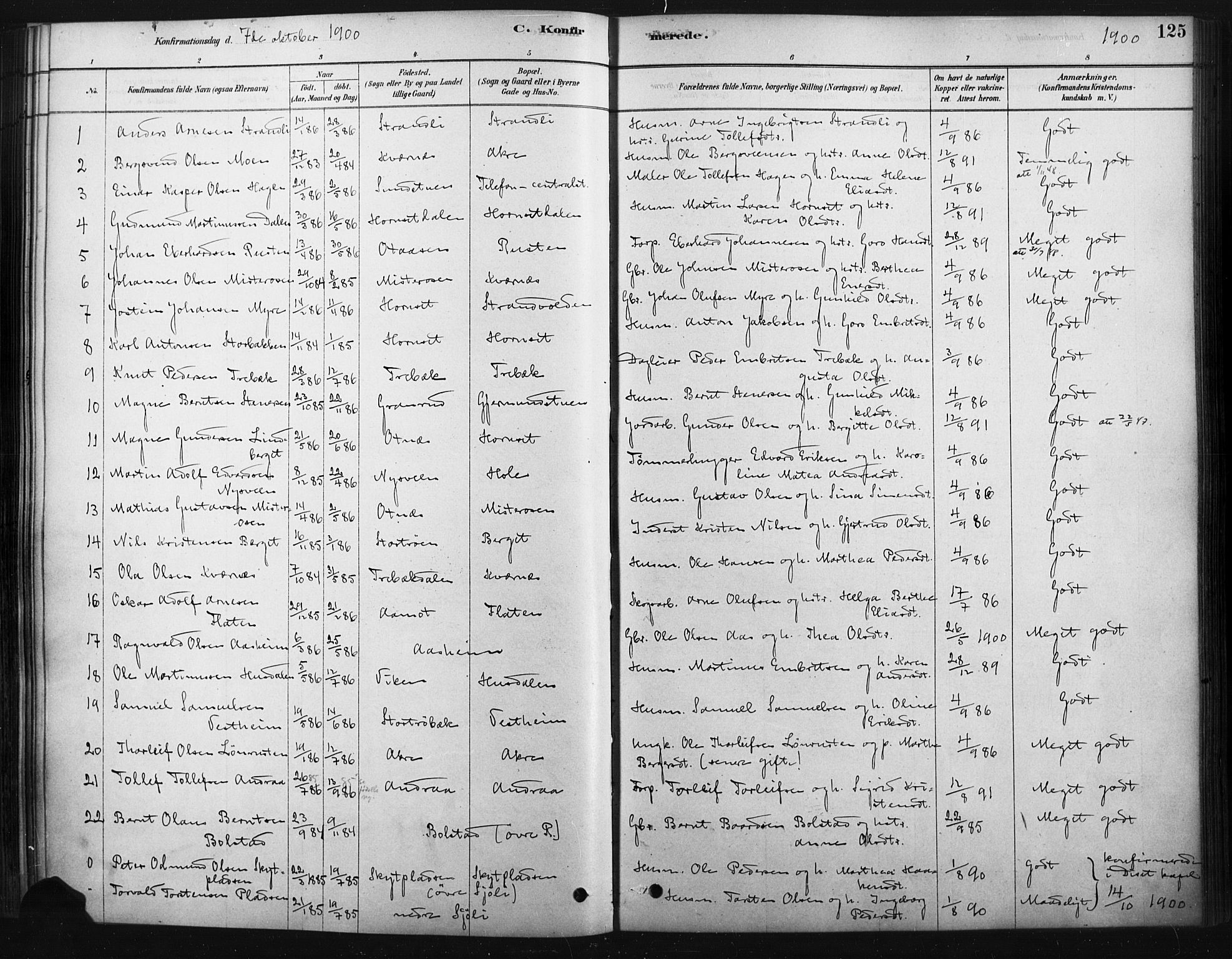Rendalen prestekontor, SAH/PREST-054/H/Ha/Haa/L0010: Parish register (official) no. 10, 1878-1901, p. 125