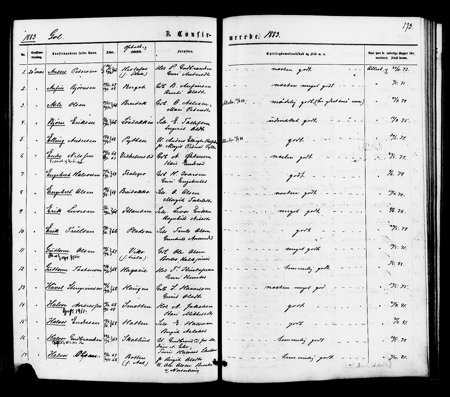Gol kirkebøker, SAKO/A-226/F/Fa/L0004: Parish register (official) no. I 4, 1876-1886, p. 173