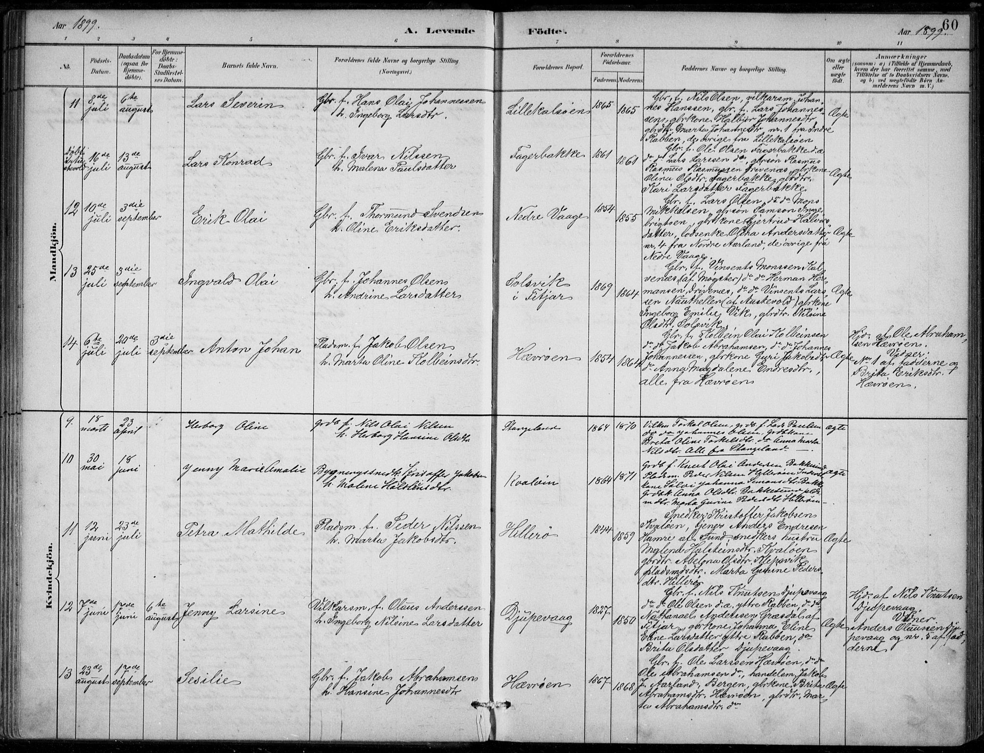 Sund sokneprestembete, AV/SAB-A-99930: Parish register (official) no. D 1, 1882-1899, p. 60