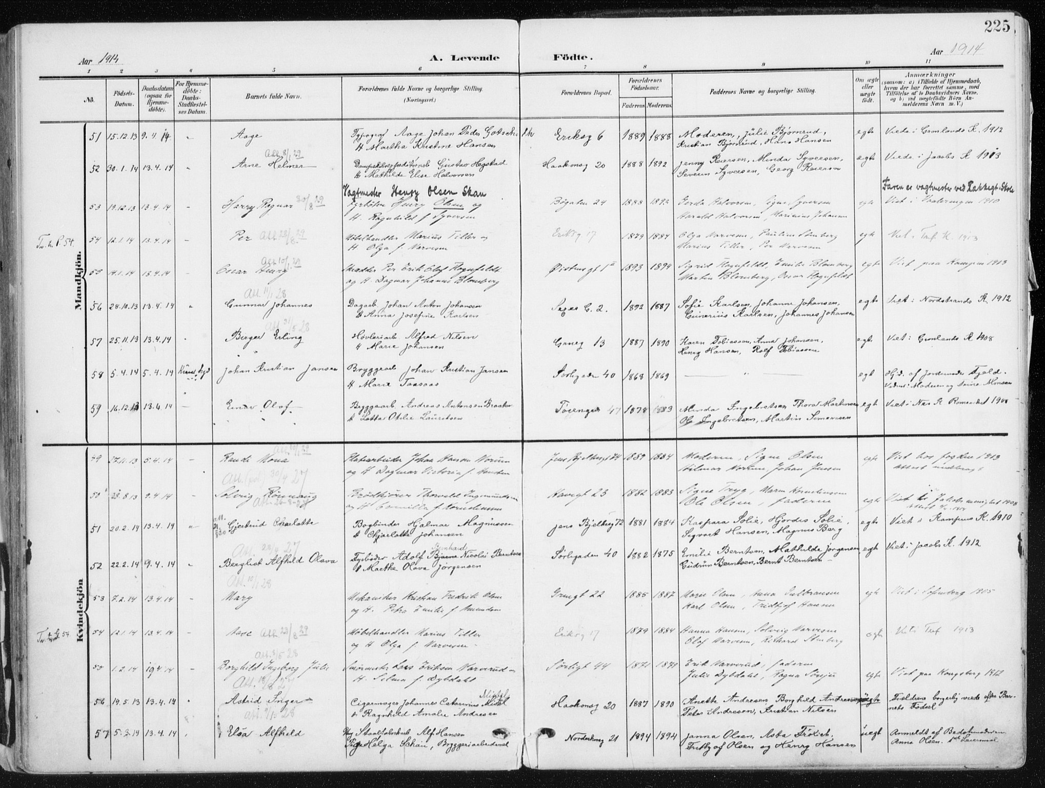 Kampen prestekontor Kirkebøker, SAO/A-10853/F/Fa/L0010: Parish register (official) no. I 10, 1905-1917, p. 225