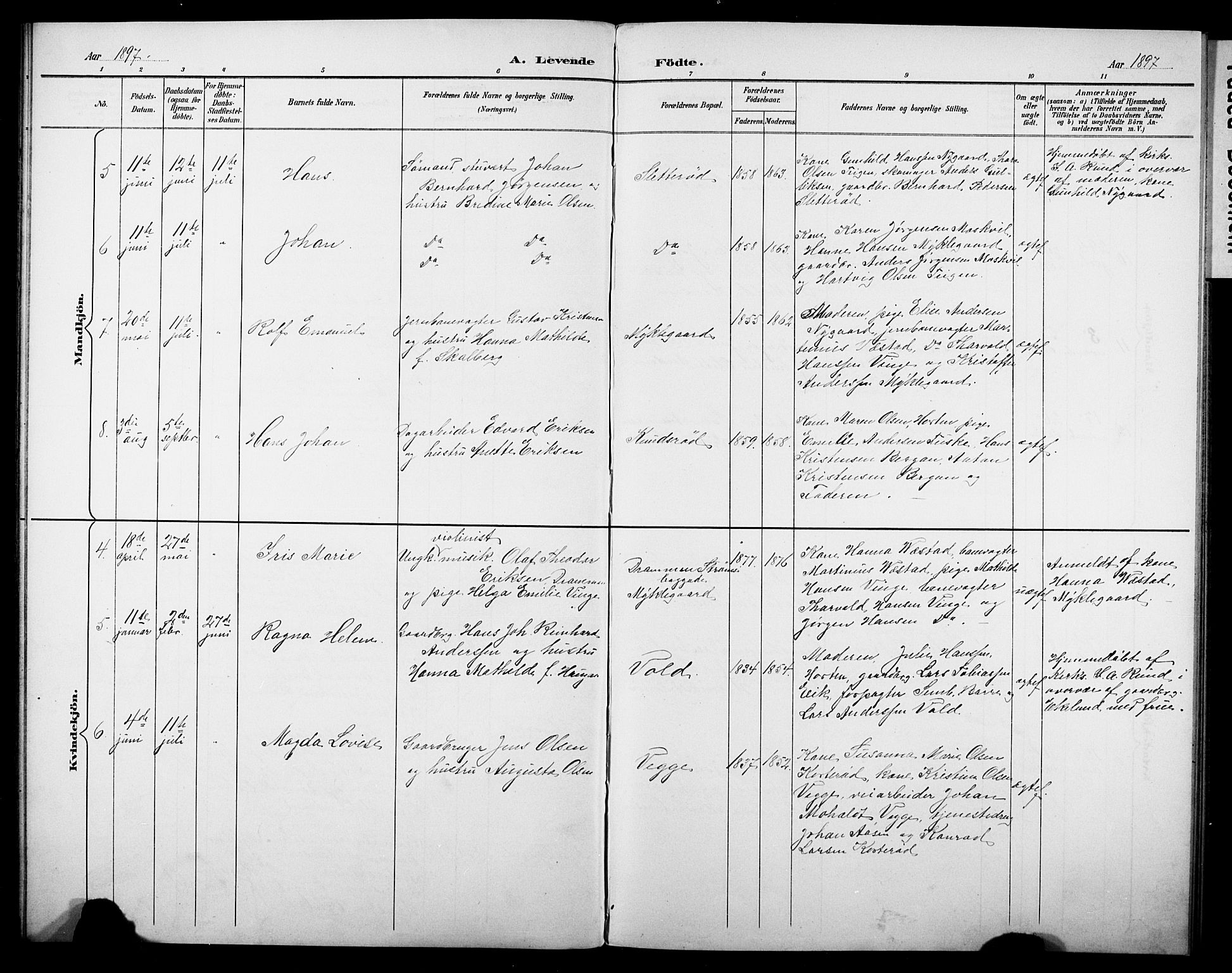 Borre kirkebøker, AV/SAKO-A-338/G/Gb/L0003: Parish register (copy) no. II 3, 1893-1905