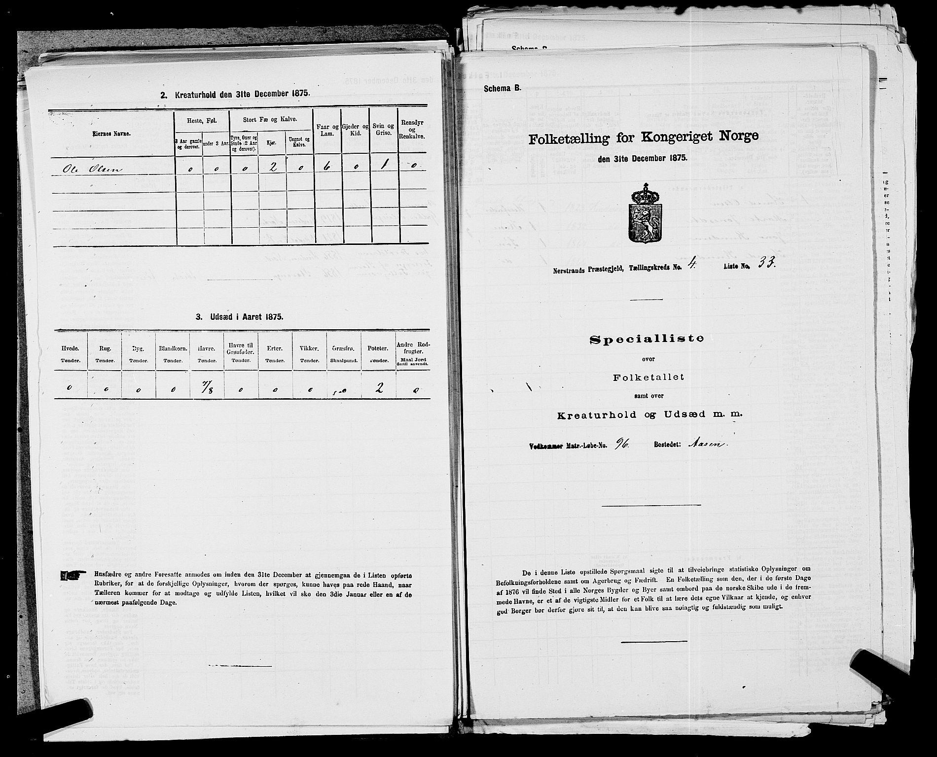 SAST, 1875 census for 1139P Nedstrand, 1875, p. 212