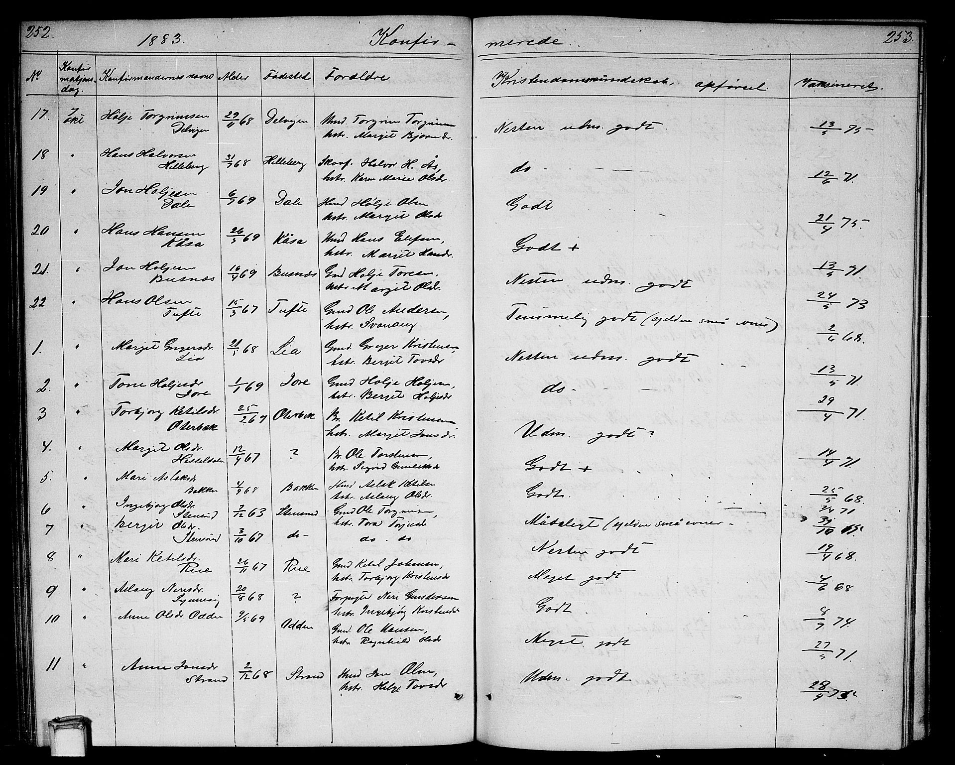Gransherad kirkebøker, SAKO/A-267/G/Ga/L0002: Parish register (copy) no. I 2, 1854-1886, p. 252-253