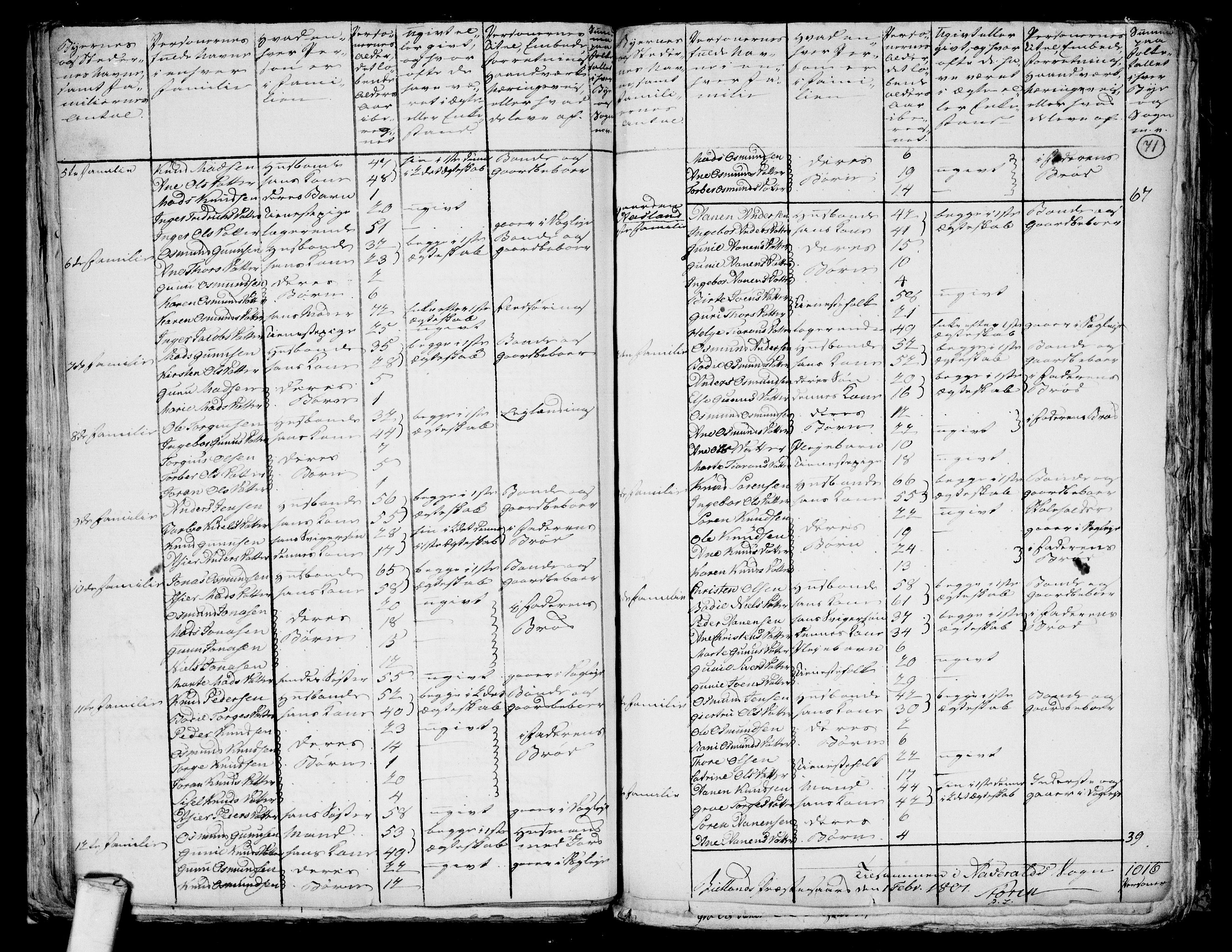 RA, 1801 census for 1024P Bjelland, 1801, p. 70b-71a