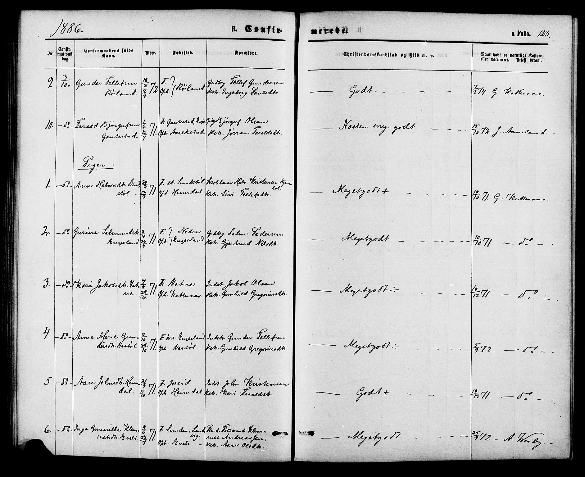 Herefoss sokneprestkontor, SAK/1111-0019/F/Fa/Fab/L0003: Parish register (official) no. A 3, 1875-1886, p. 123