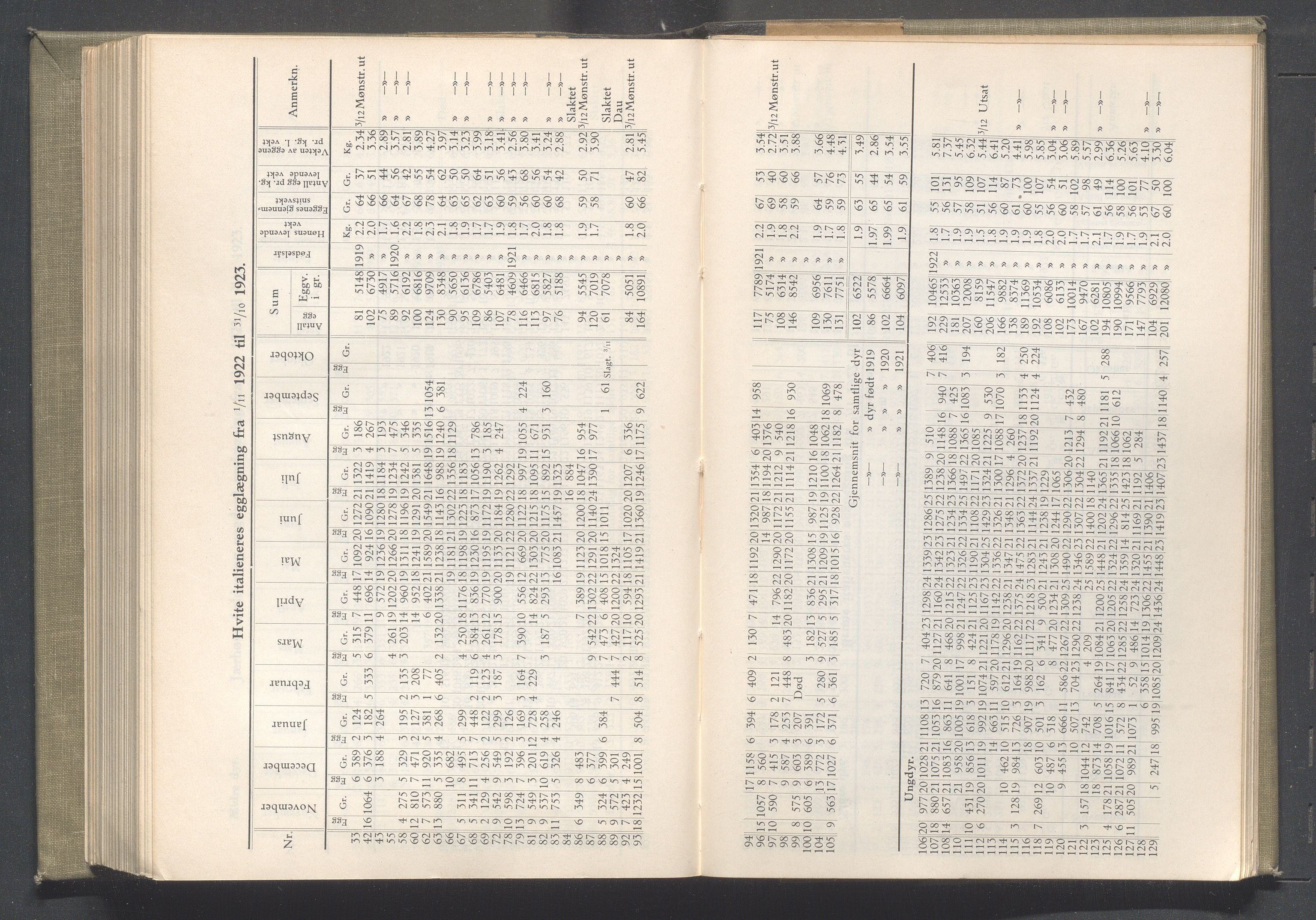 Rogaland fylkeskommune - Fylkesrådmannen , IKAR/A-900/A/Aa/Aaa/L0043: Møtebok , 1924, p. 108-109