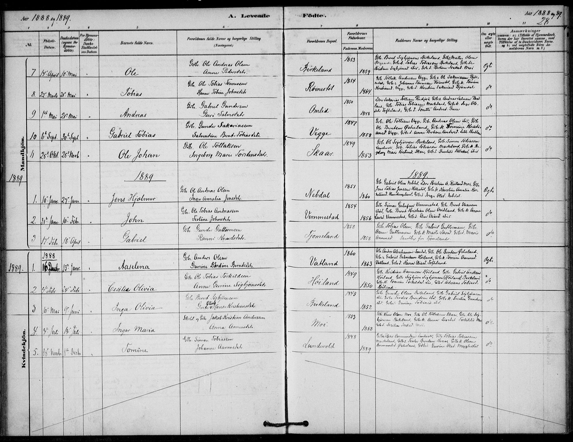 Lyngdal sokneprestkontor, SAK/1111-0029/F/Fa/Fab/L0003: Parish register (official) no. A 3, 1878-1903, p. 28