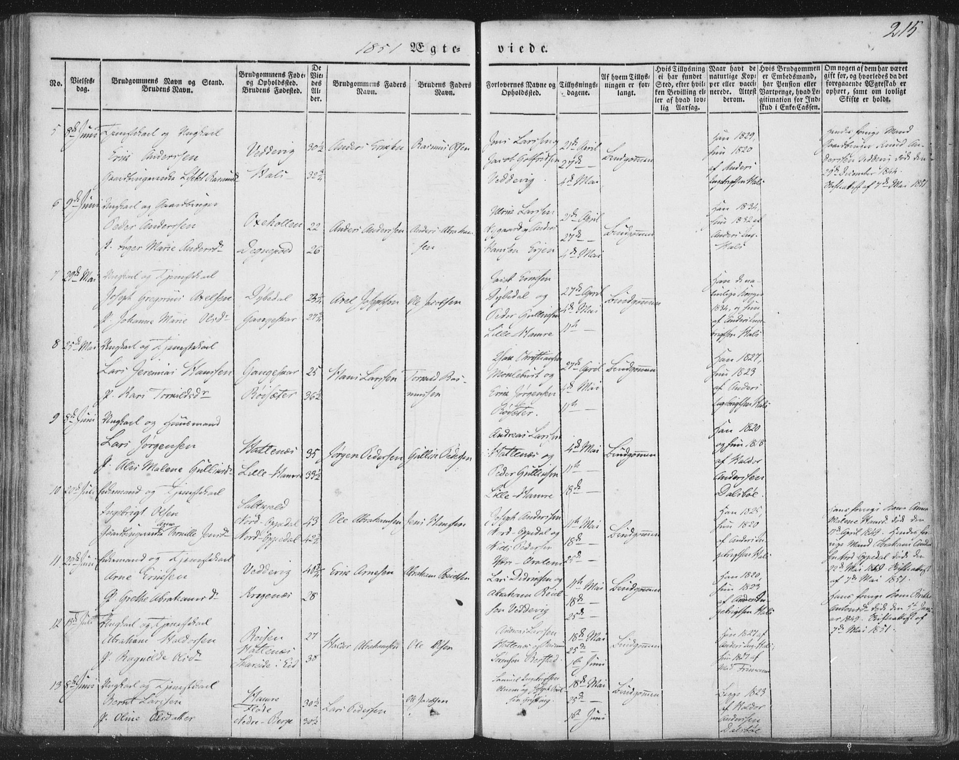 Selje sokneprestembete, AV/SAB-A-99938/H/Ha/Haa/Haaa: Parish register (official) no. A 10, 1844-1858, p. 215