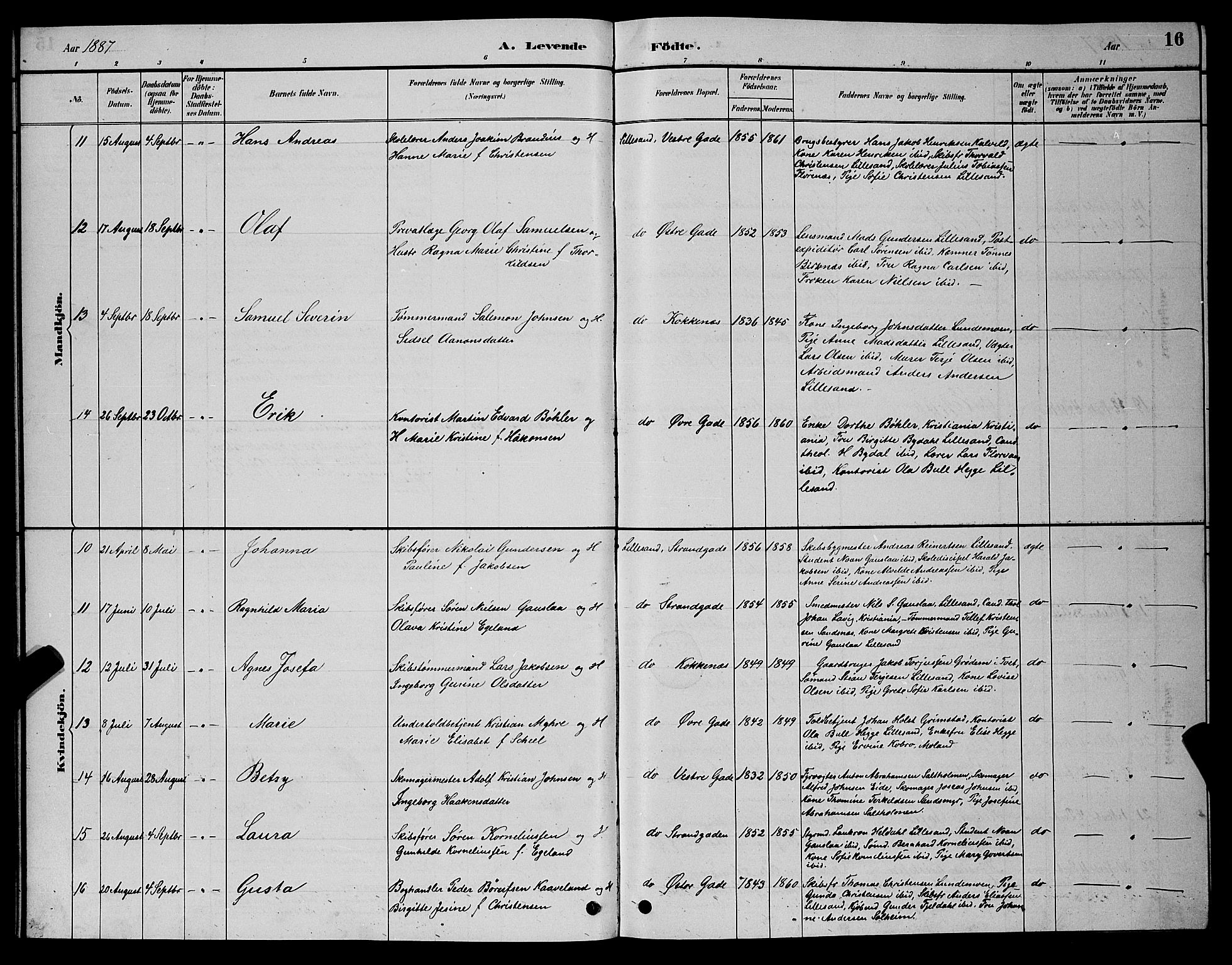 Vestre Moland sokneprestkontor, AV/SAK-1111-0046/F/Fb/Fba/L0001: Parish register (copy) no. B 1, 1884-1903, p. 16