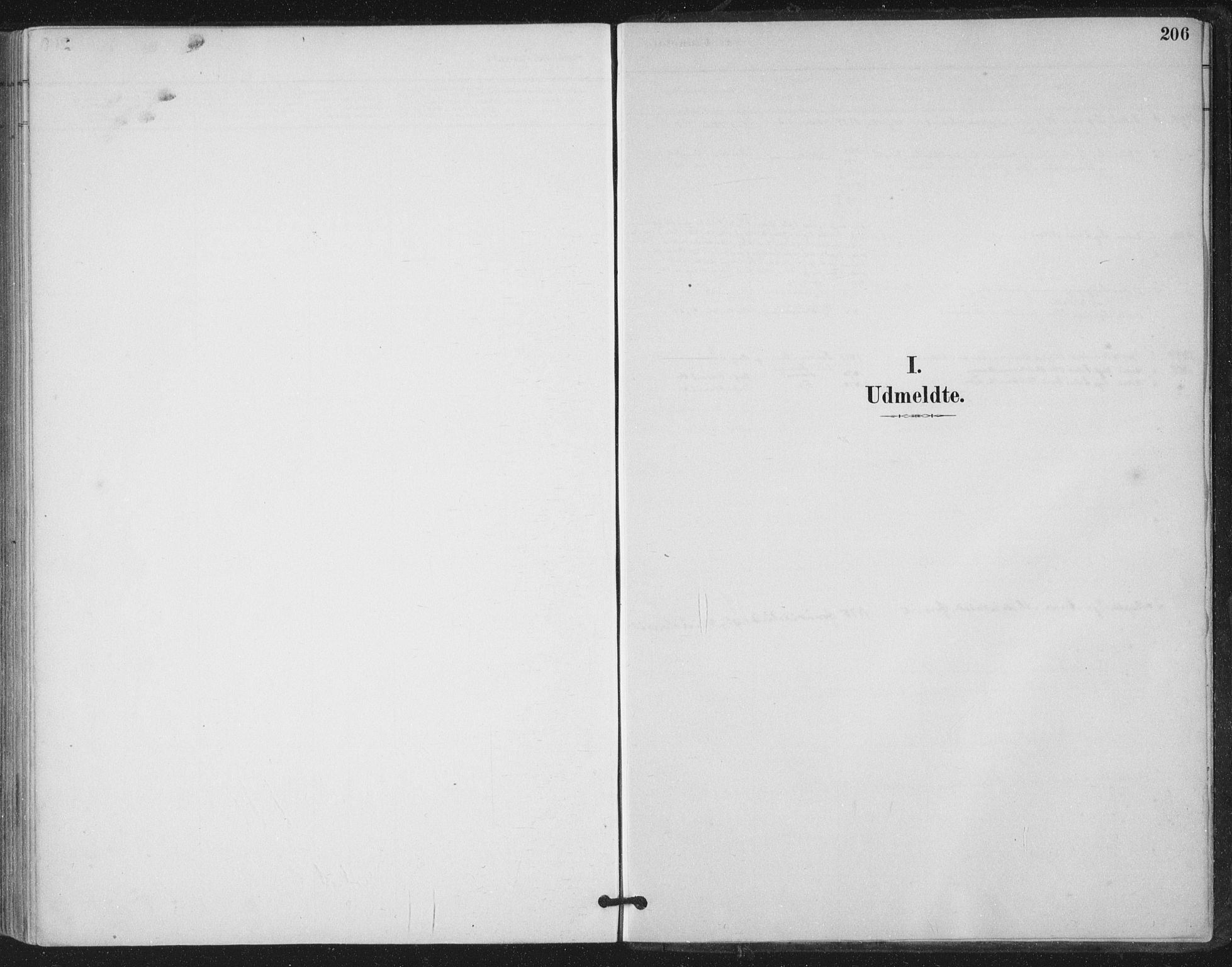 Ministerialprotokoller, klokkerbøker og fødselsregistre - Nord-Trøndelag, SAT/A-1458/780/L0644: Parish register (official) no. 780A08, 1886-1903, p. 206