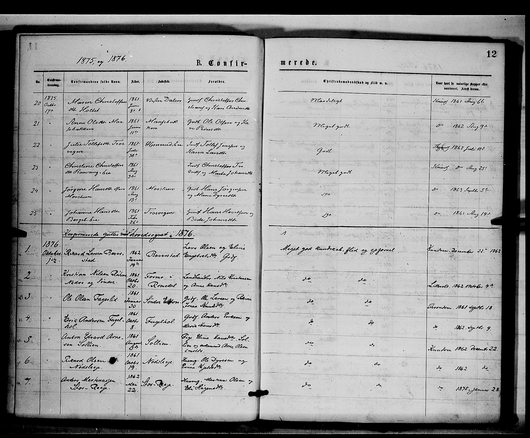 Stange prestekontor, SAH/PREST-002/K/L0016: Parish register (official) no. 16, 1874-1879, p. 12