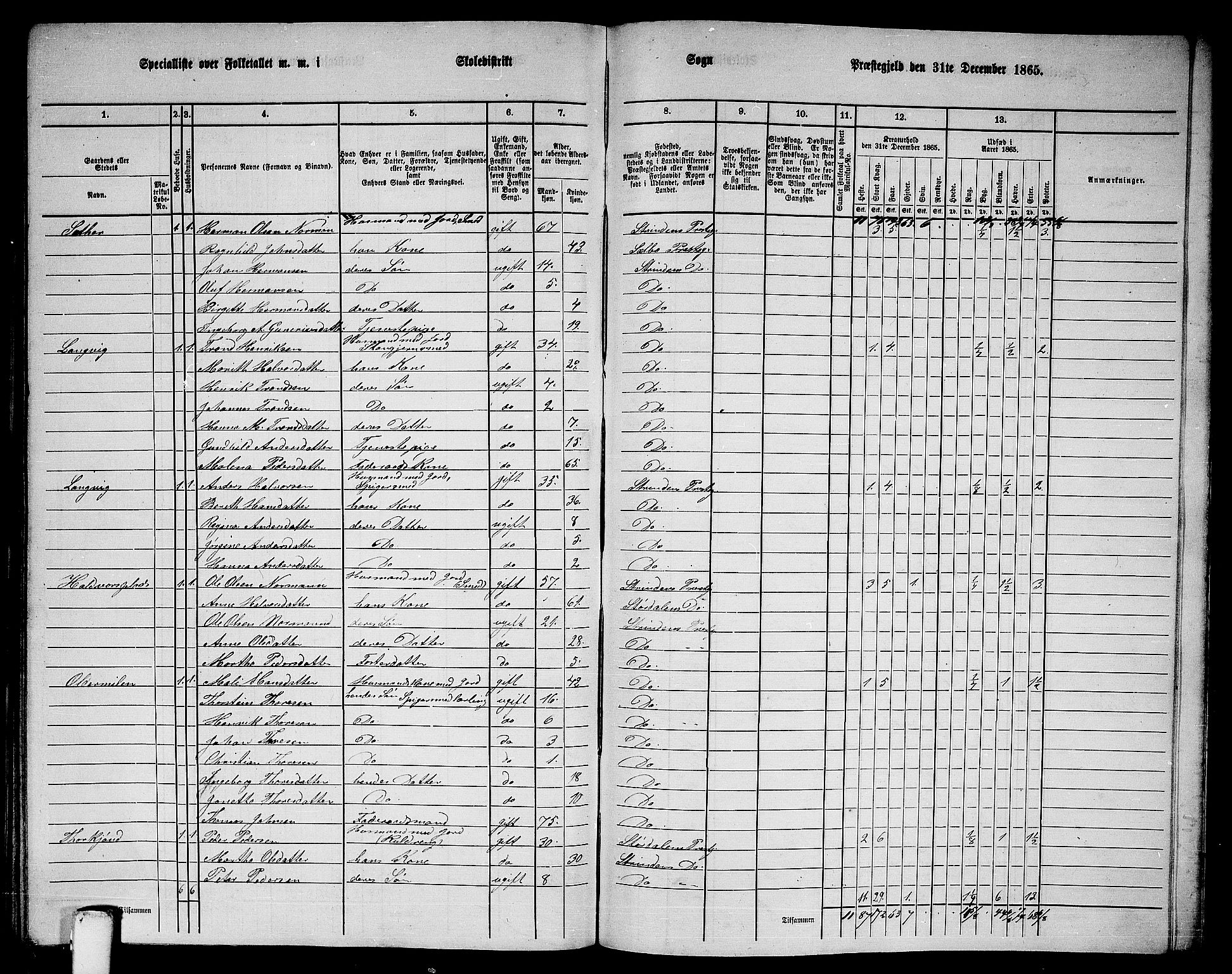 RA, 1865 census for Strinda, 1865, p. 257