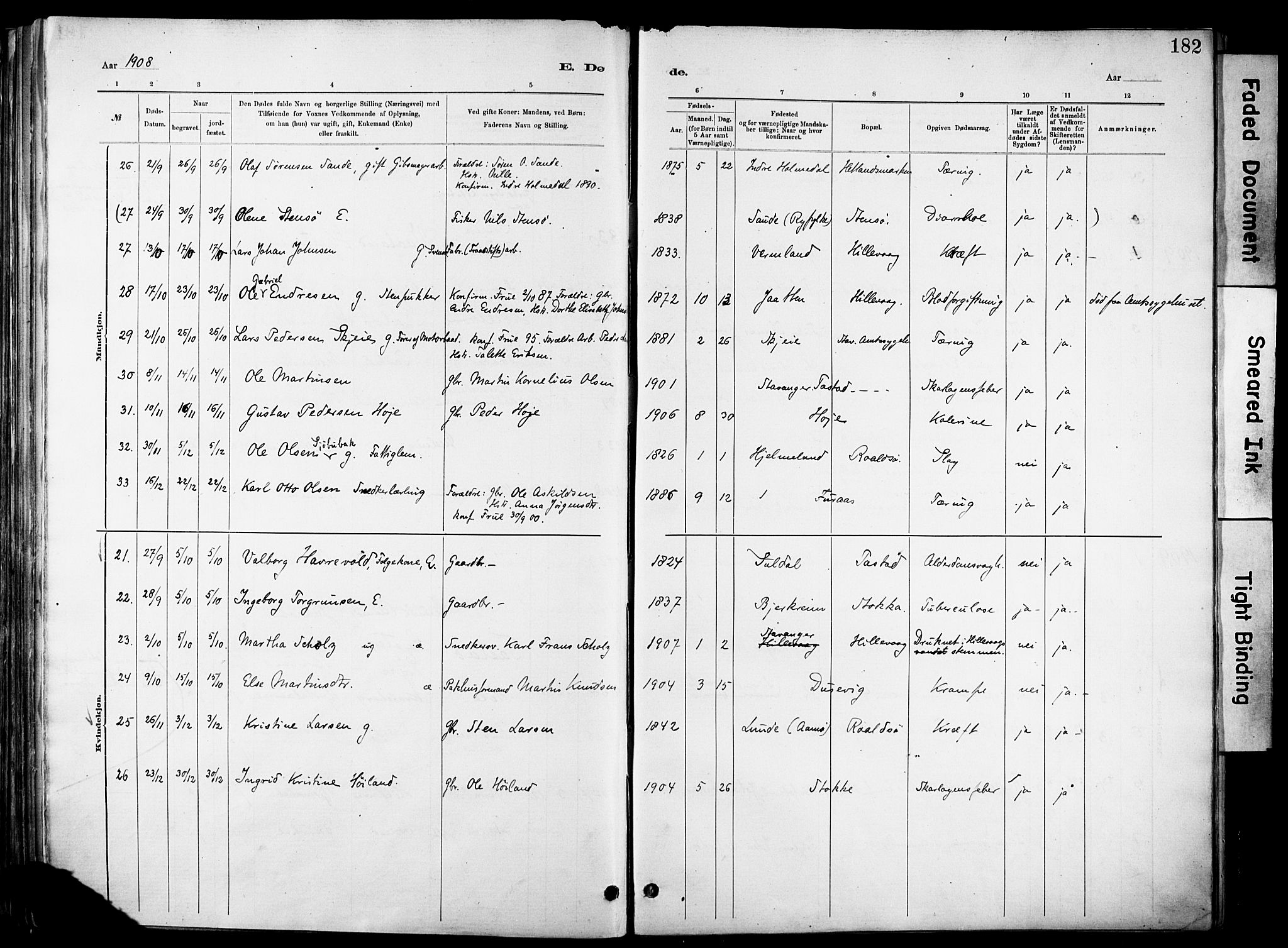 Hetland sokneprestkontor, AV/SAST-A-101826/30/30BA/L0012: Parish register (official) no. A 12, 1882-1912, p. 182