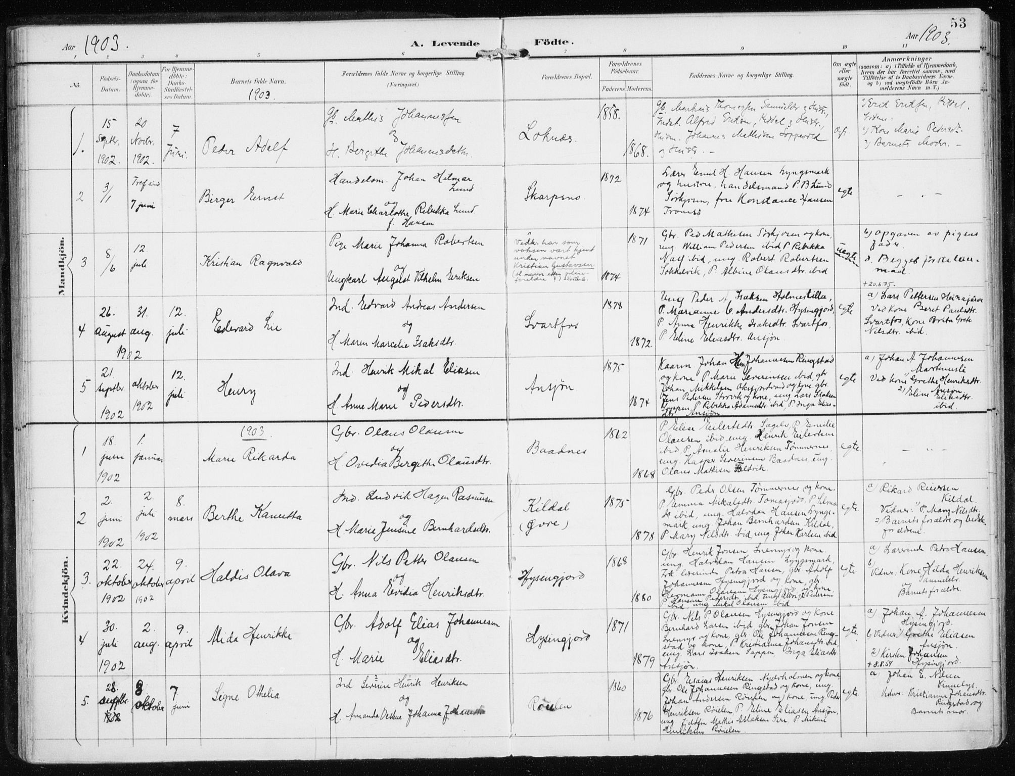 Skjervøy sokneprestkontor, AV/SATØ-S-1300/H/Ha/Haa/L0017kirke: Parish register (official) no. 17, 1895-1911, p. 53