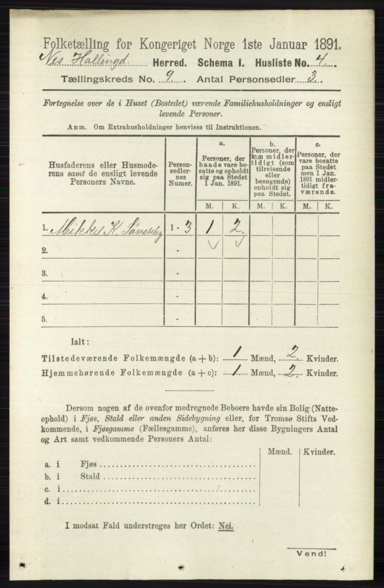 RA, 1891 census for 0616 Nes, 1891, p. 4285