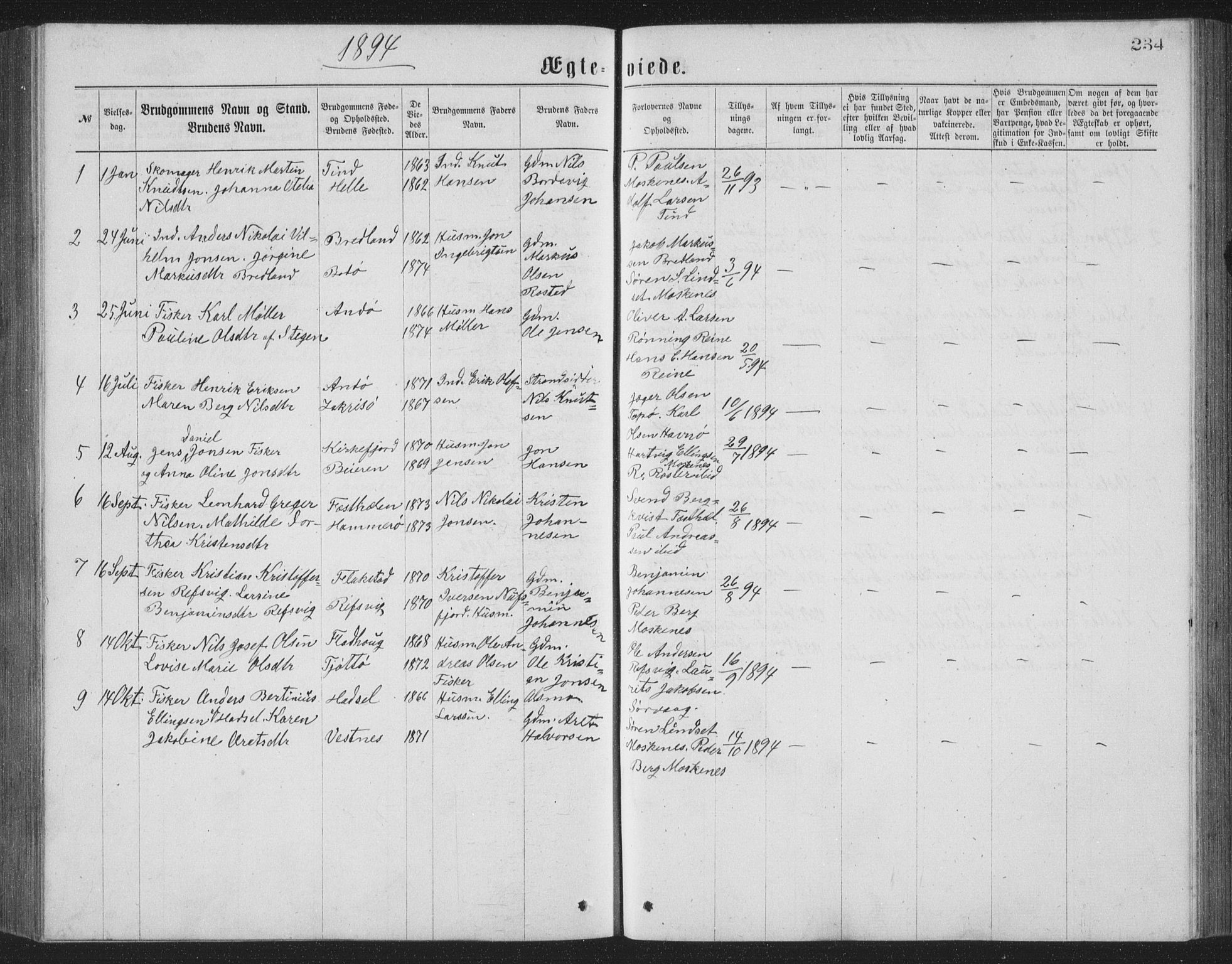 Ministerialprotokoller, klokkerbøker og fødselsregistre - Nordland, AV/SAT-A-1459/886/L1225: Parish register (copy) no. 886C02, 1874-1896, p. 234