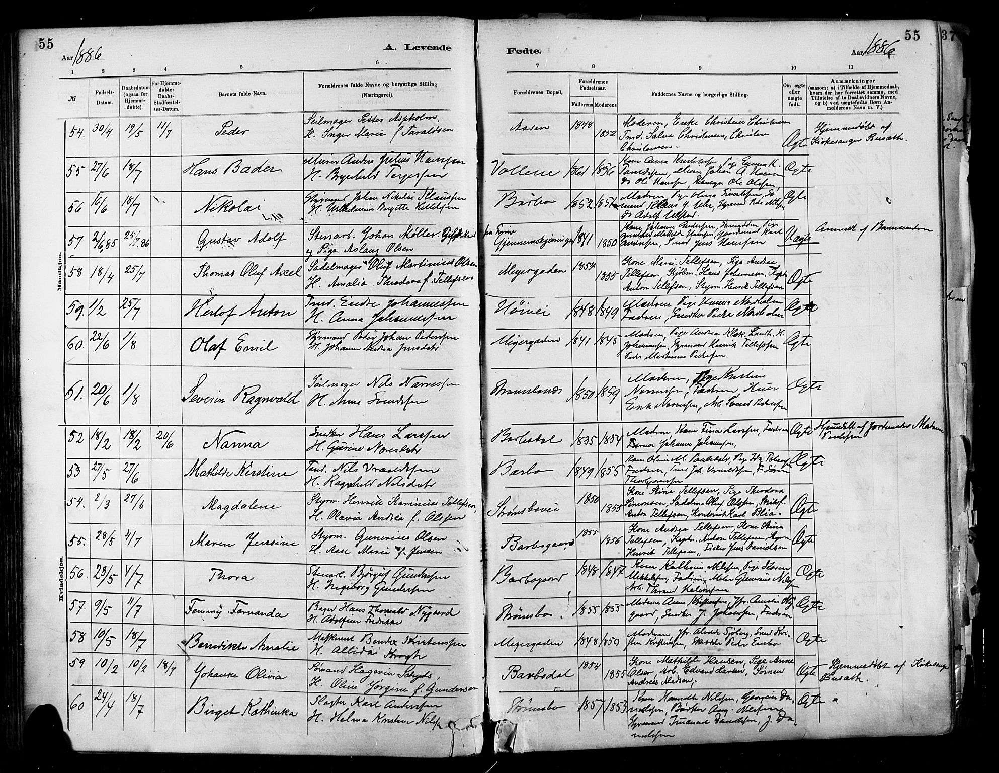 Barbu sokneprestkontor, SAK/1111-0003/F/Fa/L0002: Parish register (official) no. A 2, 1883-1898, p. 55