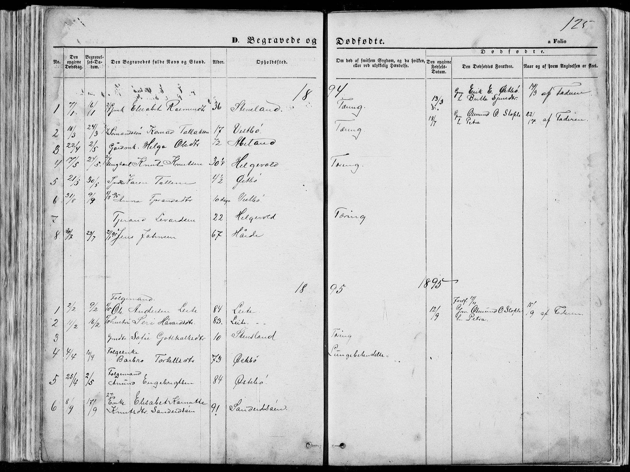 Vikedal sokneprestkontor, SAST/A-101840/01/V: Parish register (copy) no. B 10, 1864-1926, p. 125