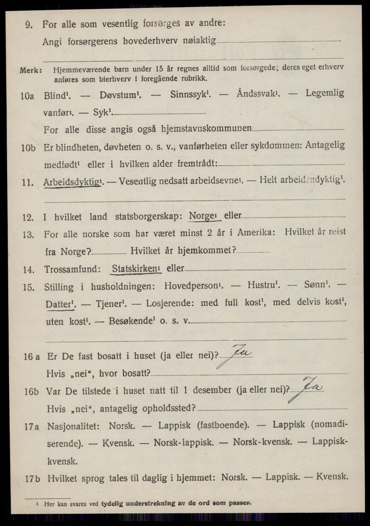 SAT, 1920 census for Hemne, 1920, p. 6513