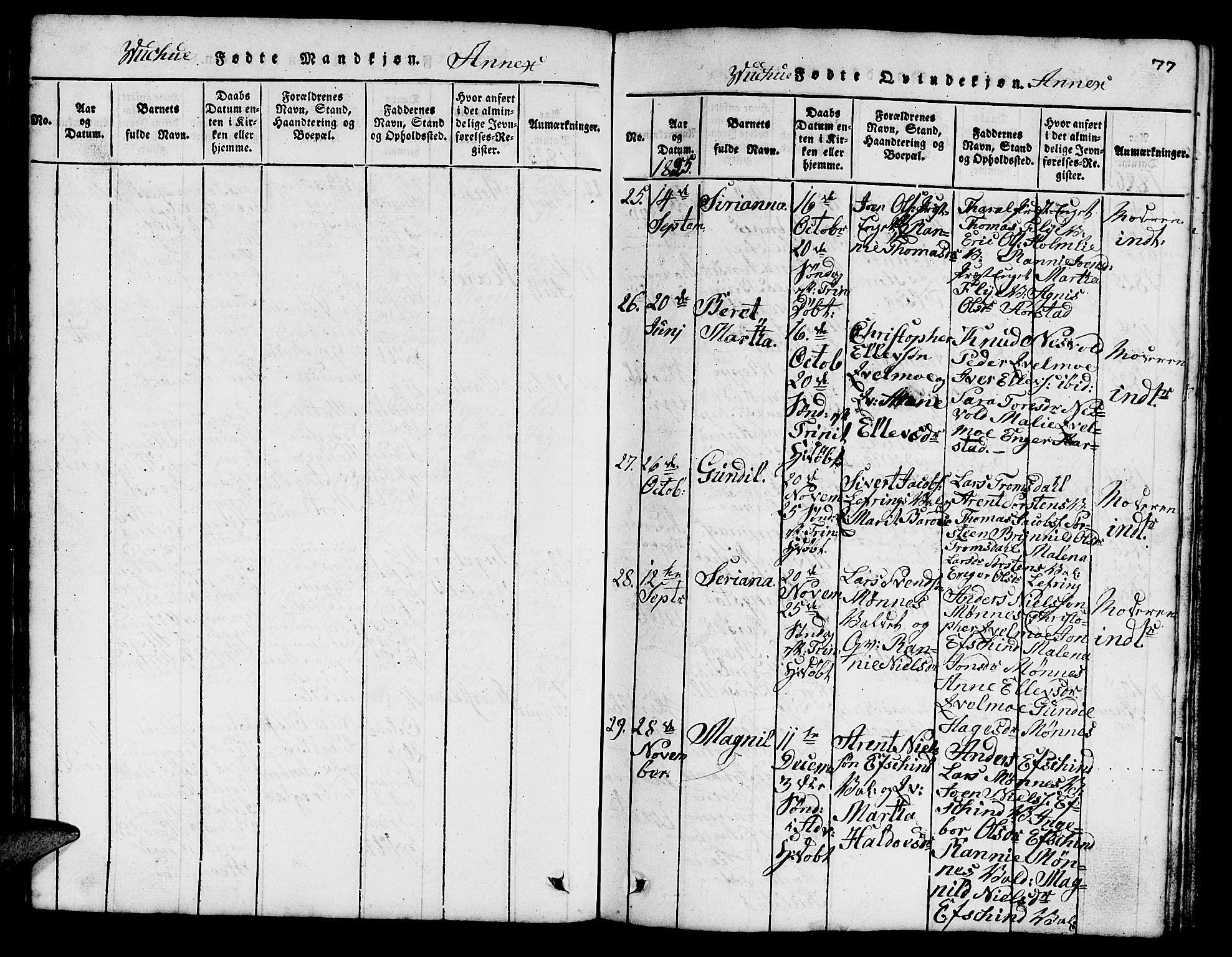 Ministerialprotokoller, klokkerbøker og fødselsregistre - Nord-Trøndelag, SAT/A-1458/724/L0265: Parish register (copy) no. 724C01, 1816-1845, p. 77