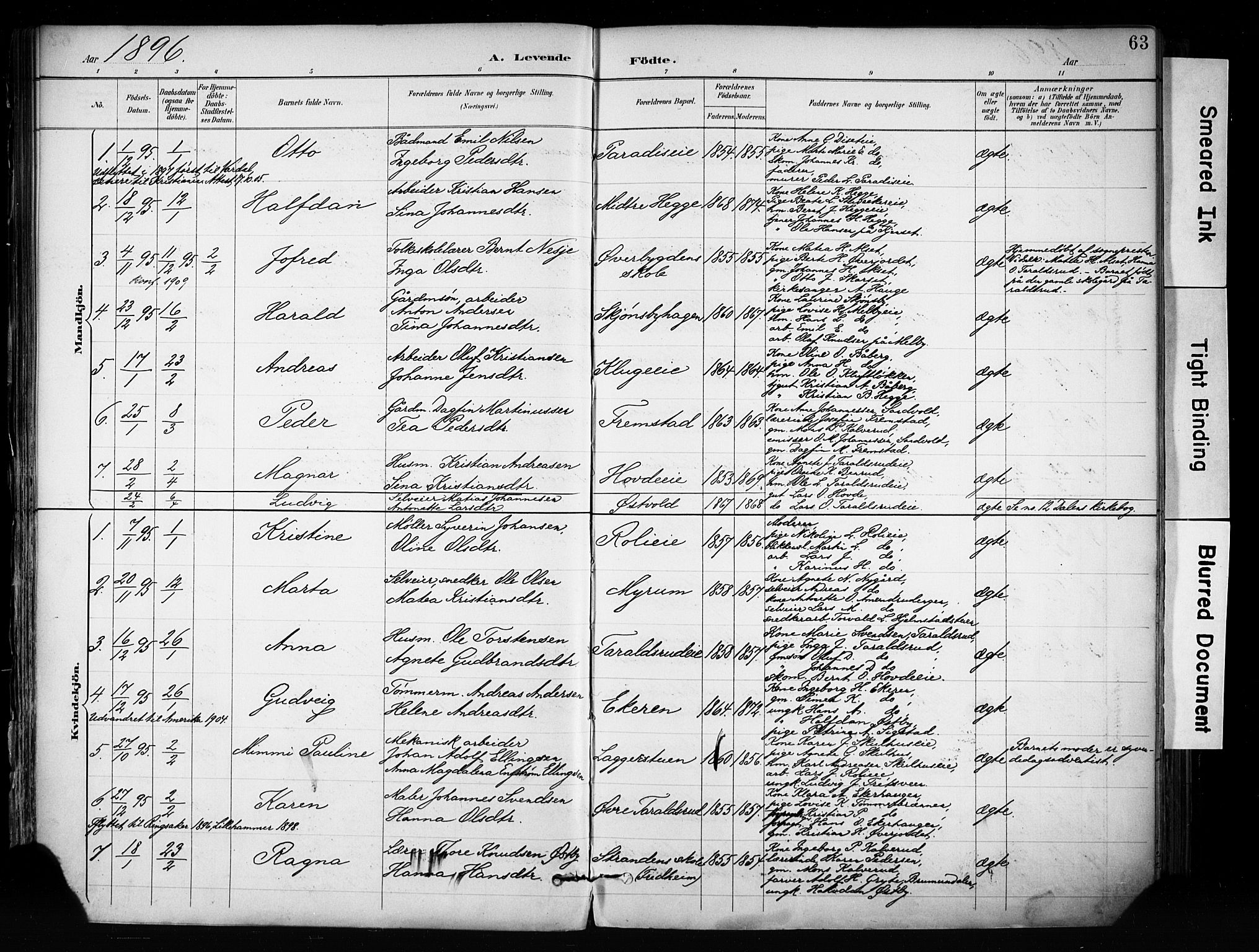 Biri prestekontor, SAH/PREST-096/H/Ha/Haa/L0009: Parish register (official) no. 9, 1887-1900, p. 63