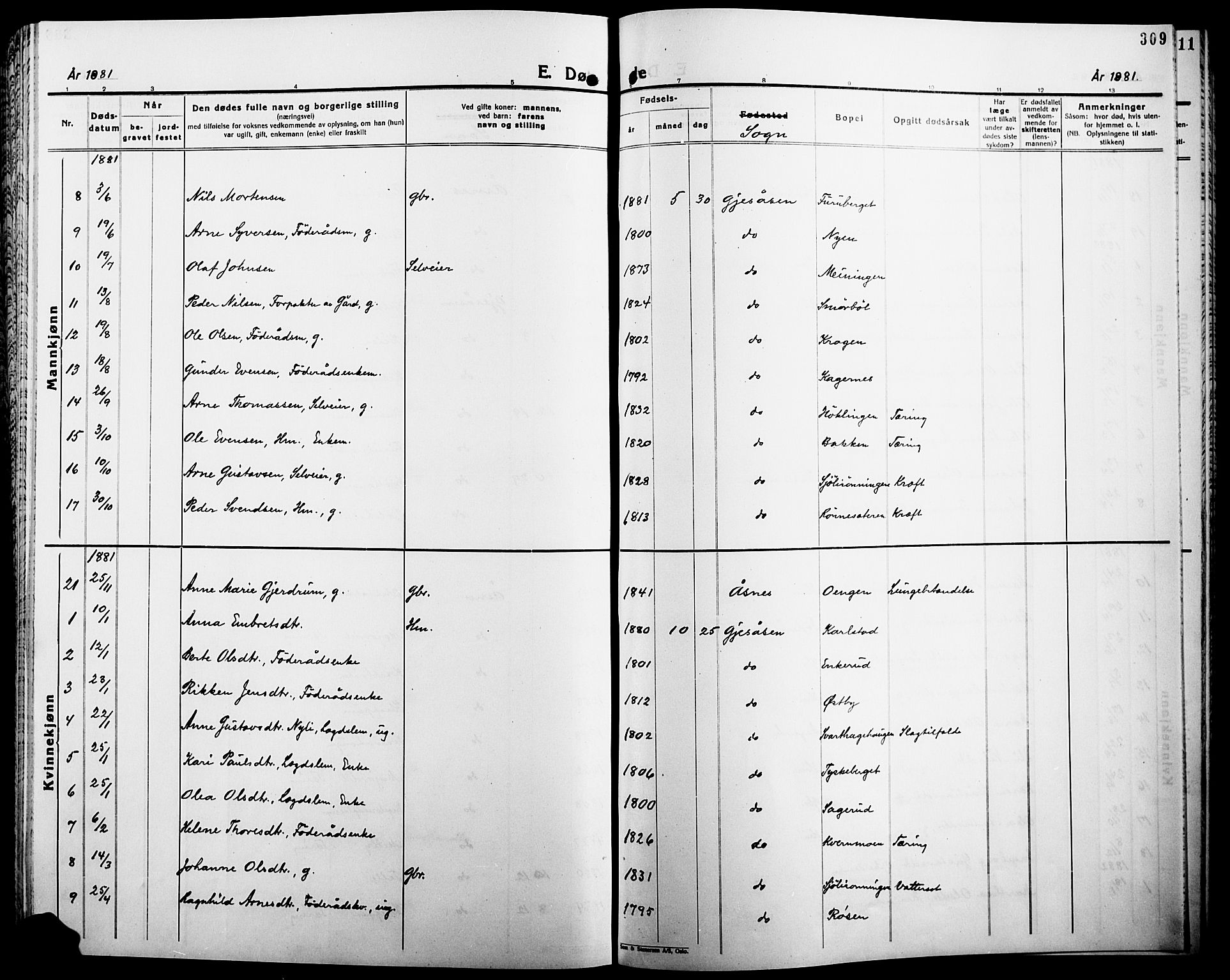 Åsnes prestekontor, AV/SAH-PREST-042/H/Ha/Haa/L0000B: Parish register (official), 1870-1889, p. 309