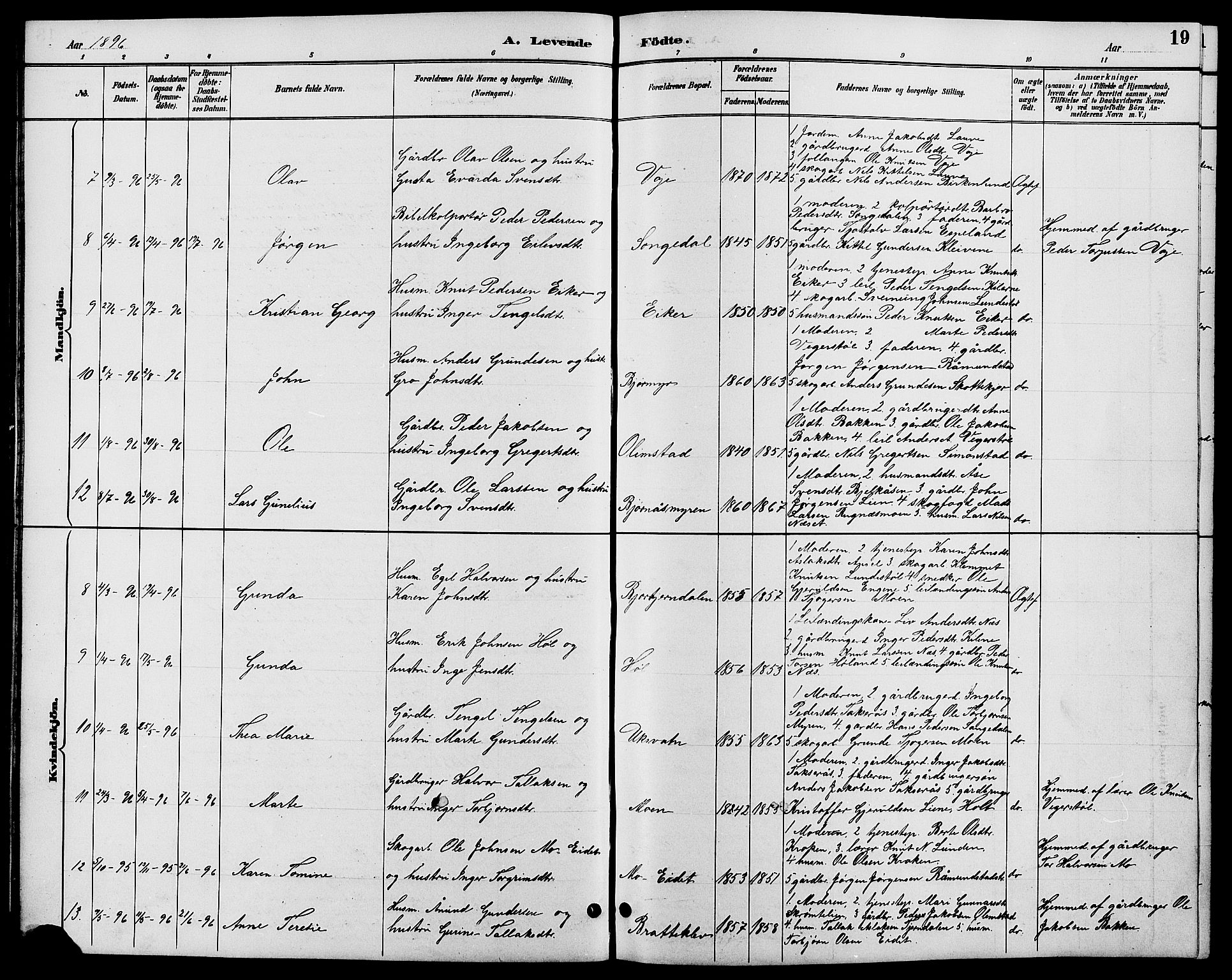 Gjerstad sokneprestkontor, SAK/1111-0014/F/Fb/Fbb/L0004: Parish register (copy) no. B 4, 1890-1910, p. 19