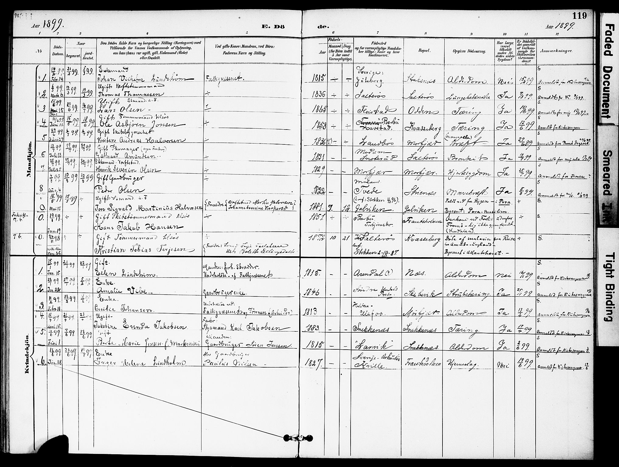 Austre Moland sokneprestkontor, SAK/1111-0001/F/Fa/Fab/L0002: Parish register (official) no. A 2, 1894-1919, p. 119