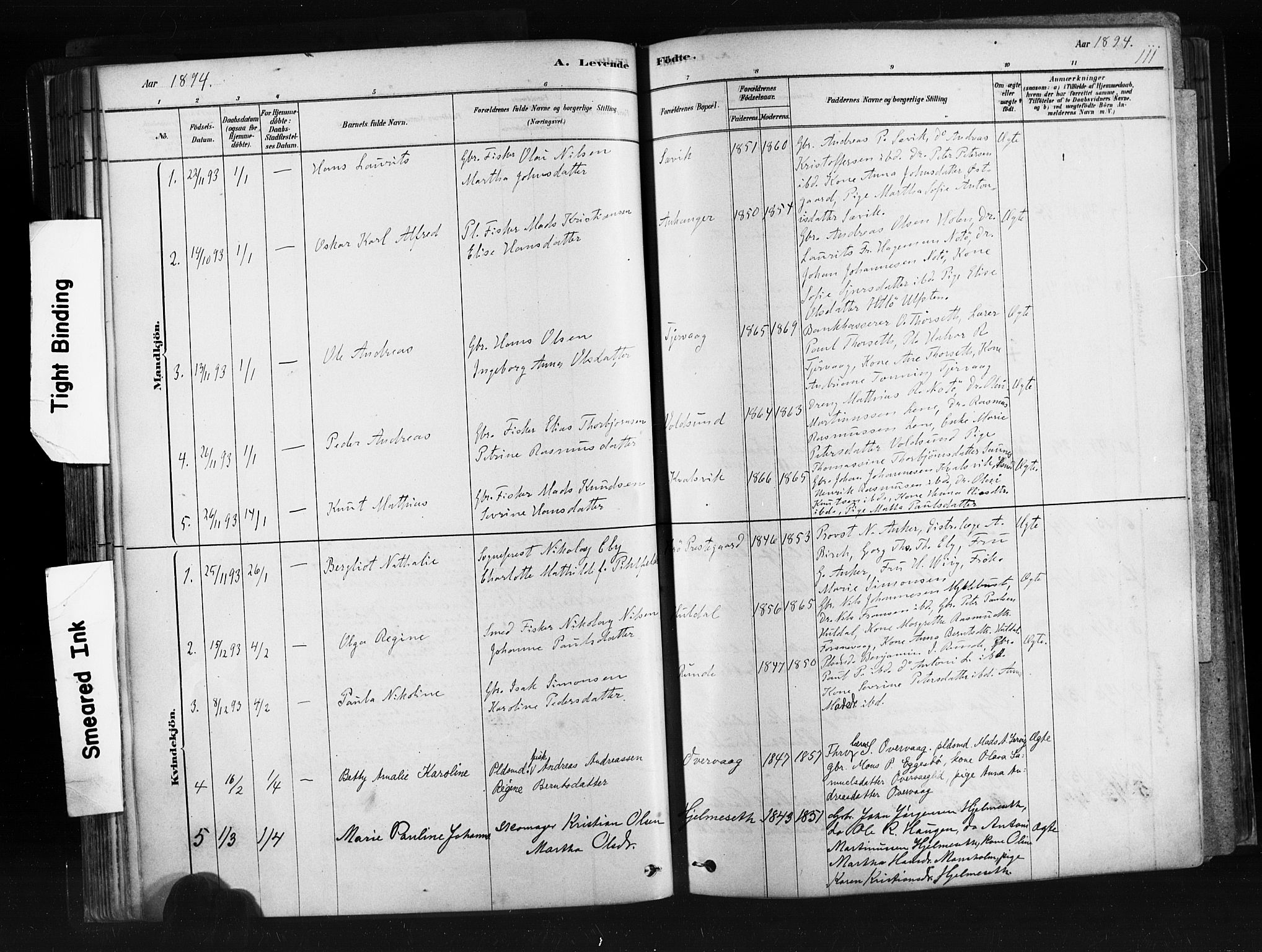 Ministerialprotokoller, klokkerbøker og fødselsregistre - Møre og Romsdal, SAT/A-1454/507/L0073: Parish register (official) no. 507A08, 1878-1904, p. 111