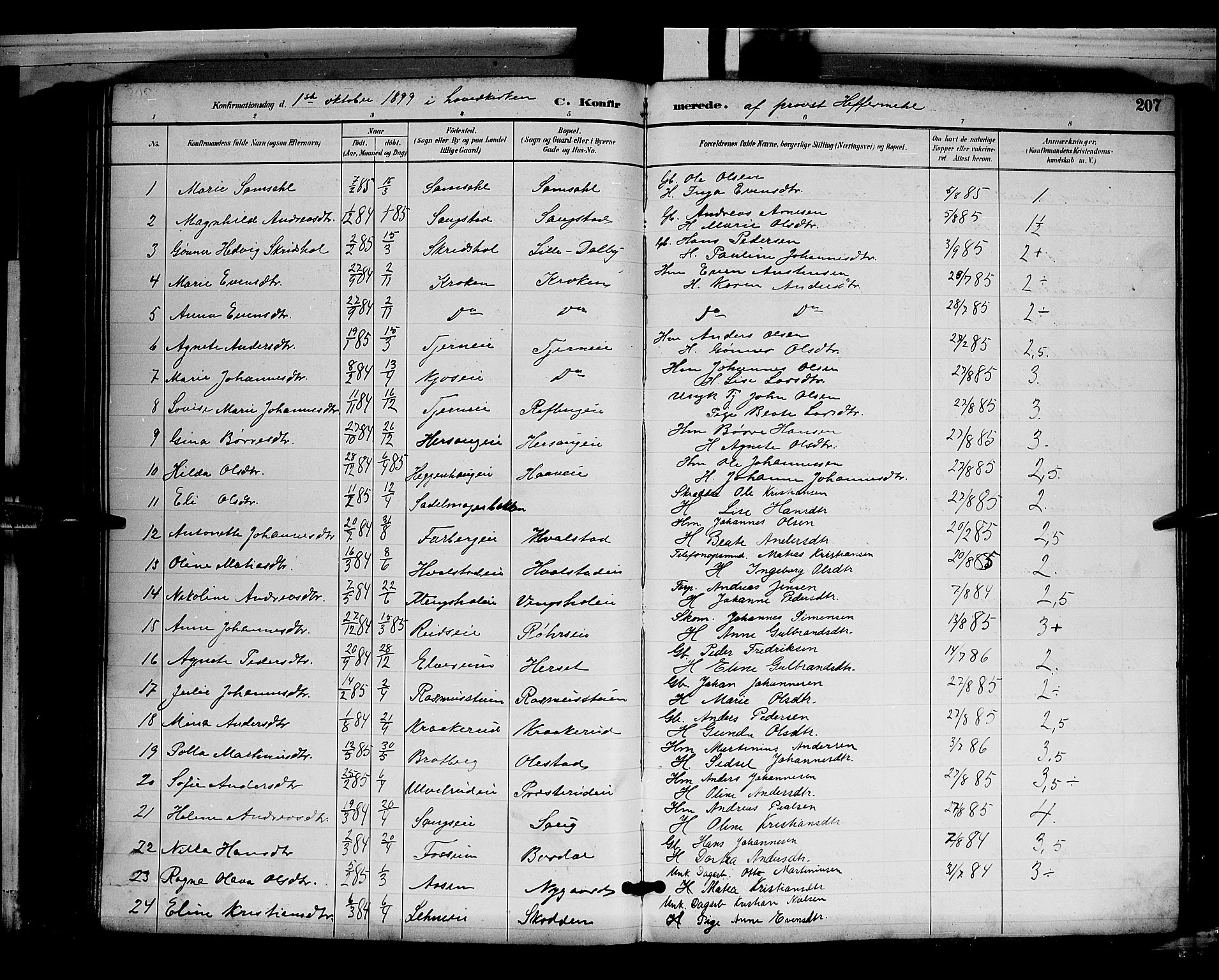 Ringsaker prestekontor, AV/SAH-PREST-014/L/La/L0012: Parish register (copy) no. 12, 1891-1902, p. 207