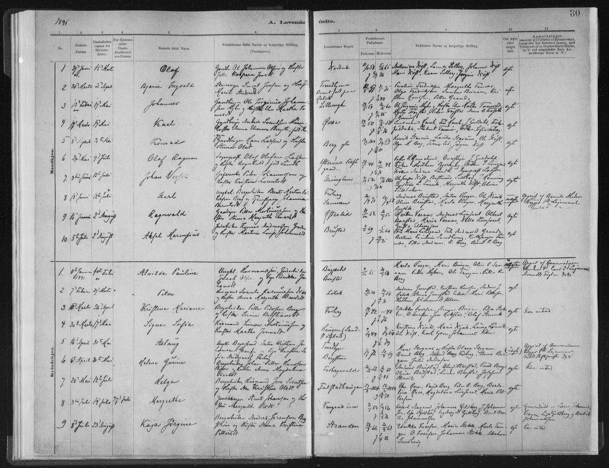 Ministerialprotokoller, klokkerbøker og fødselsregistre - Nord-Trøndelag, SAT/A-1458/722/L0220: Parish register (official) no. 722A07, 1881-1908, p. 30