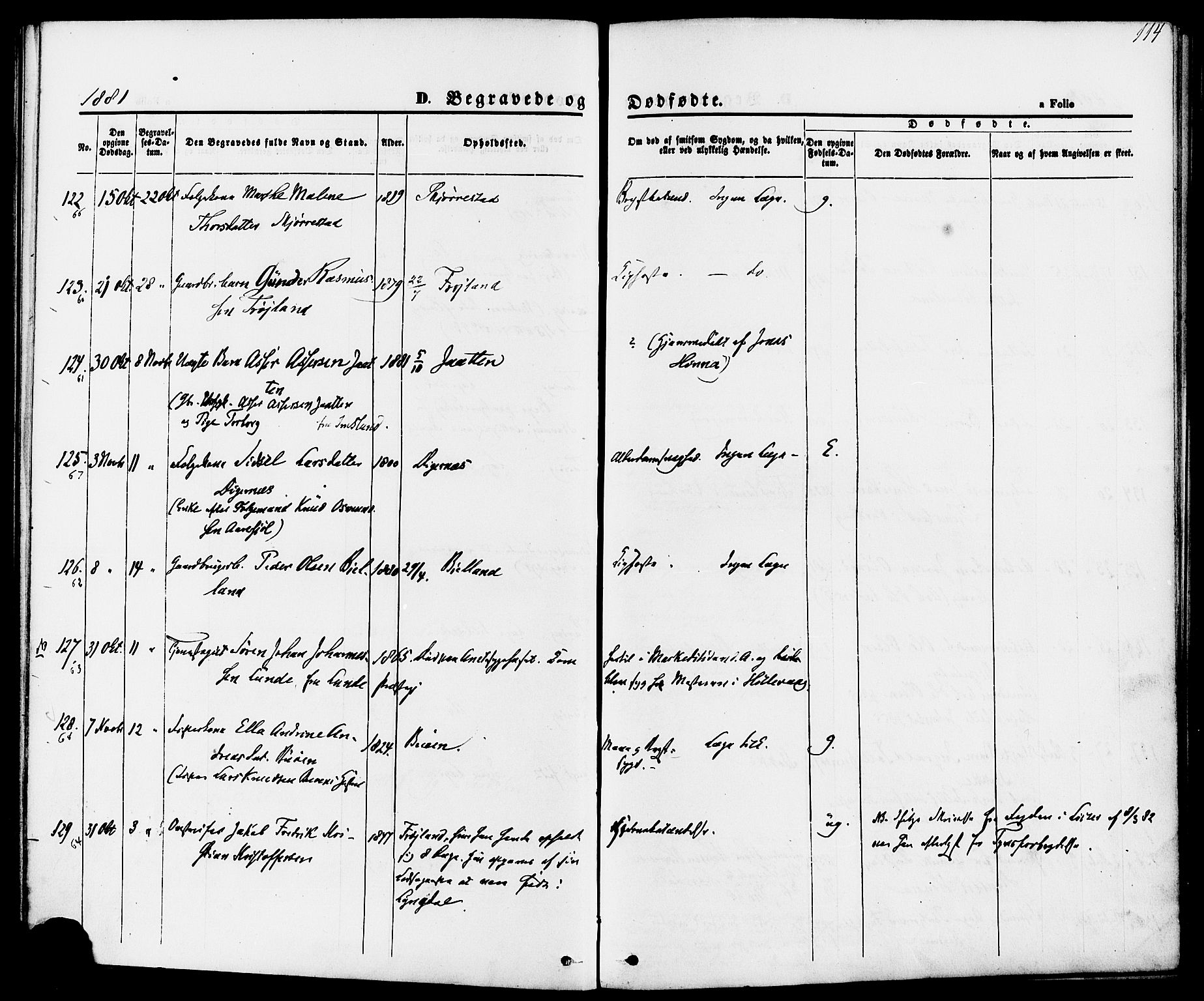 Hetland sokneprestkontor, AV/SAST-A-101826/30/30BA/L0006: Parish register (official) no. A 6, 1869-1884, p. 114