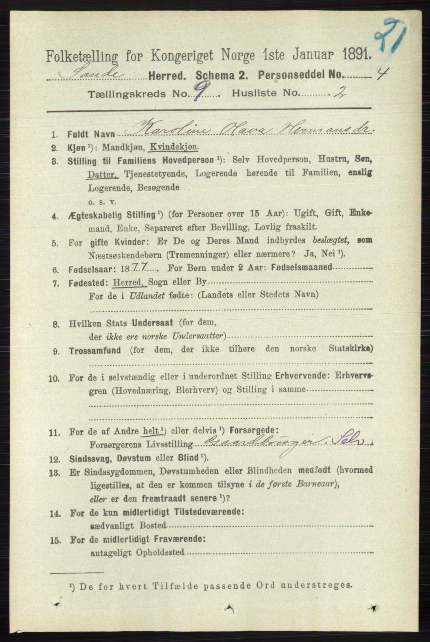 RA, 1891 census for 0713 Sande, 1891, p. 3941