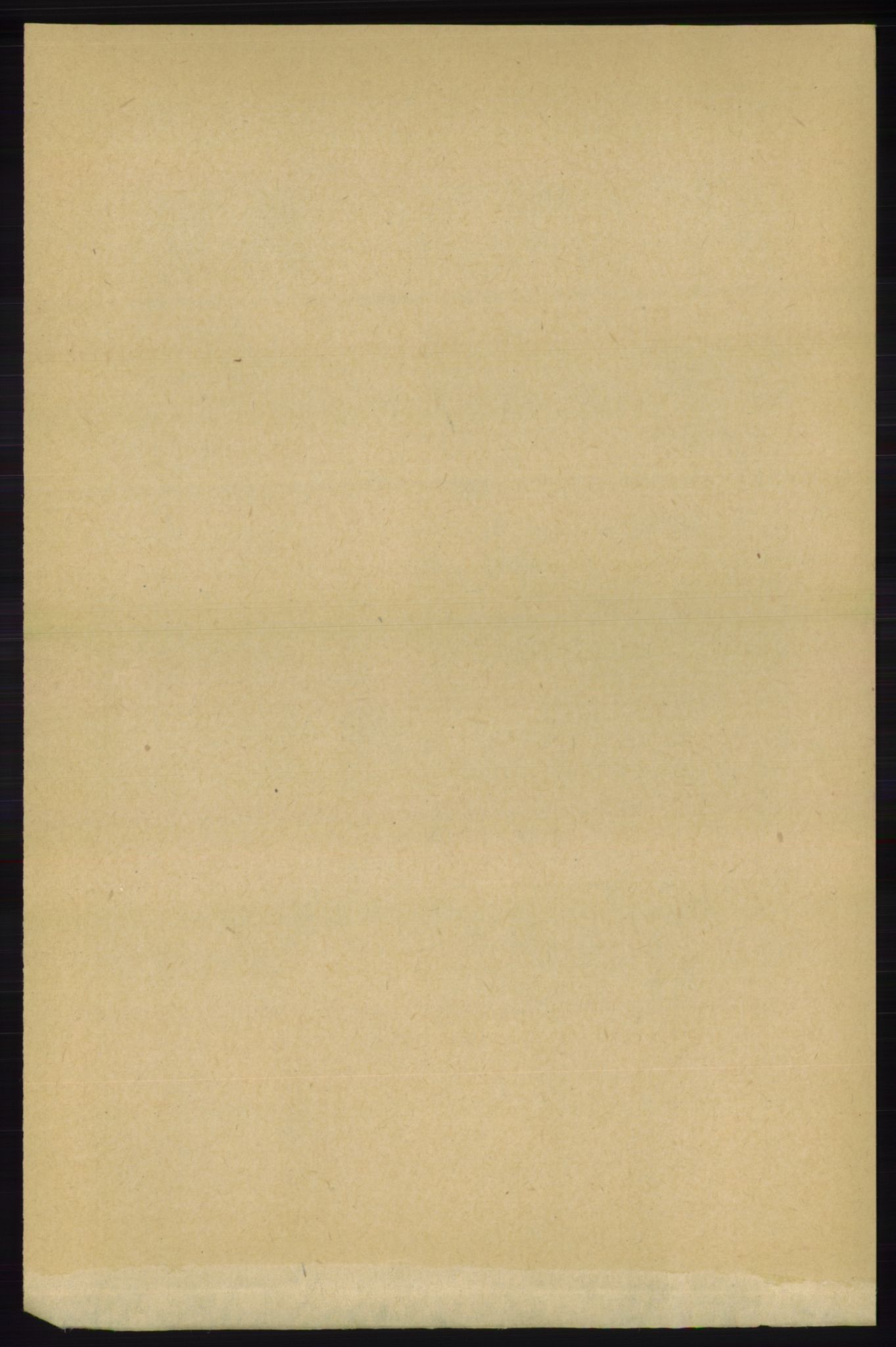 RA, 1891 census for 1139 Nedstrand, 1891, p. 797