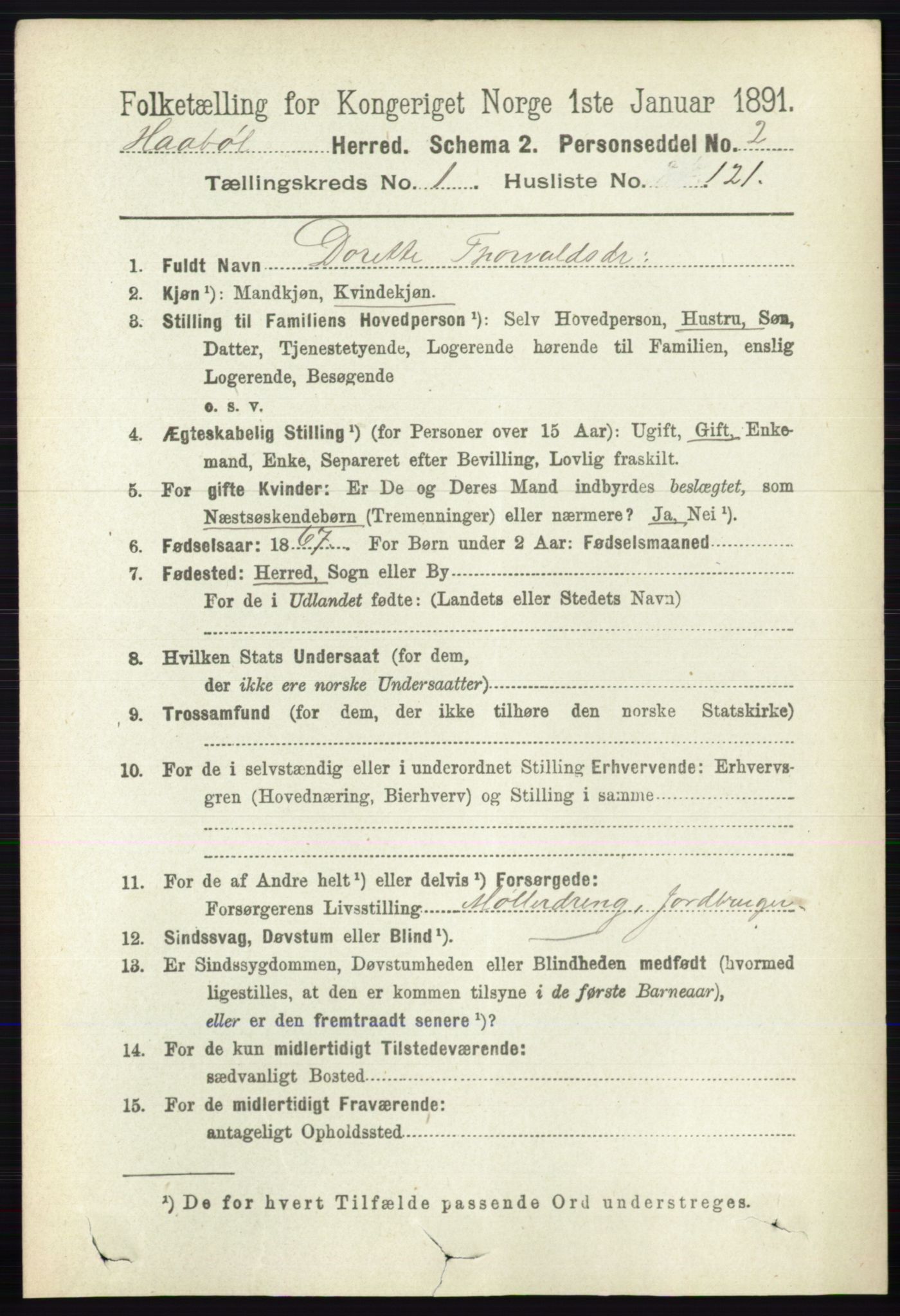 RA, 1891 census for 0138 Hobøl, 1891, p. 919
