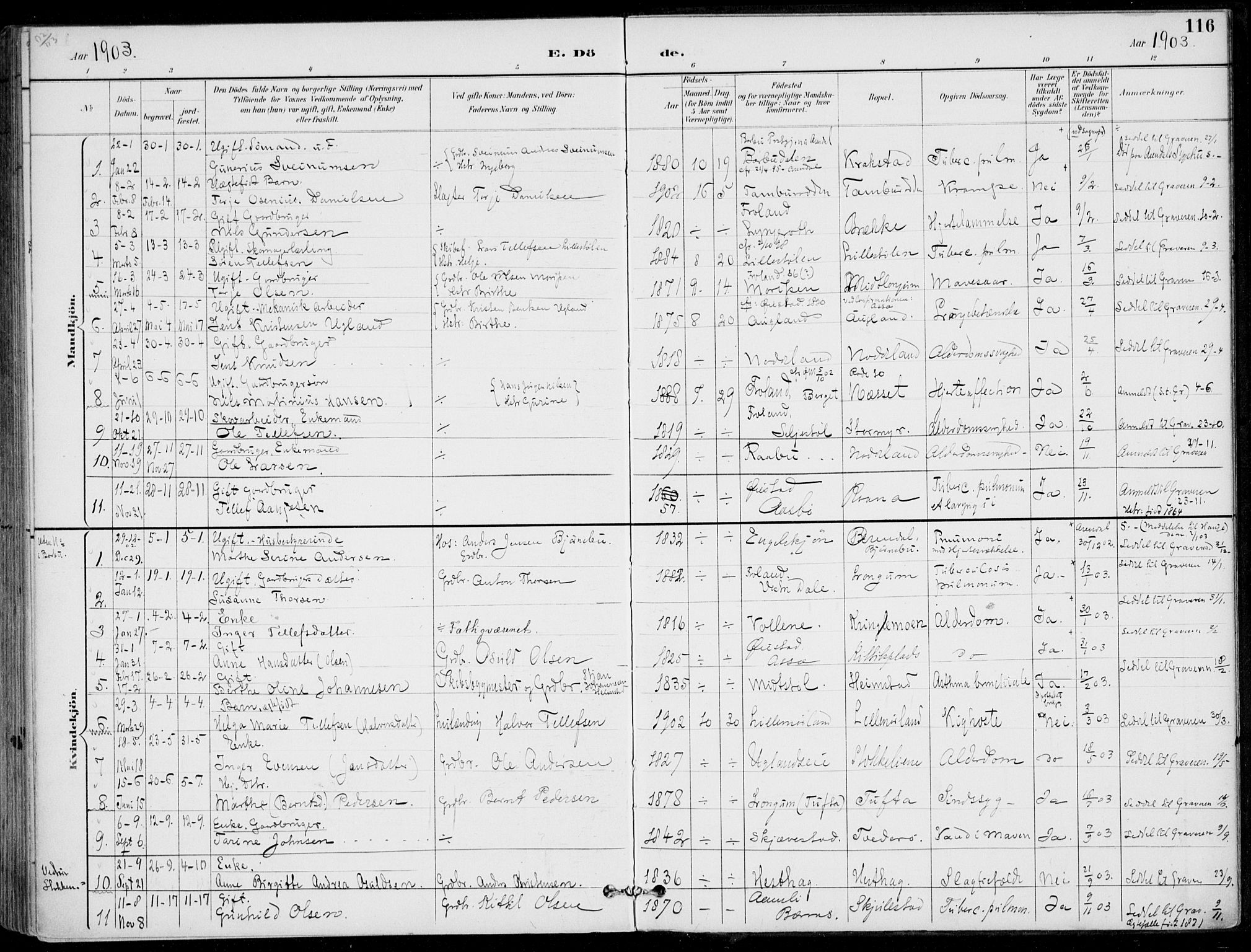 Austre Moland sokneprestkontor, SAK/1111-0001/F/Fa/Faa/L0011: Parish register (official) no. A 11, 1894-1915, p. 116