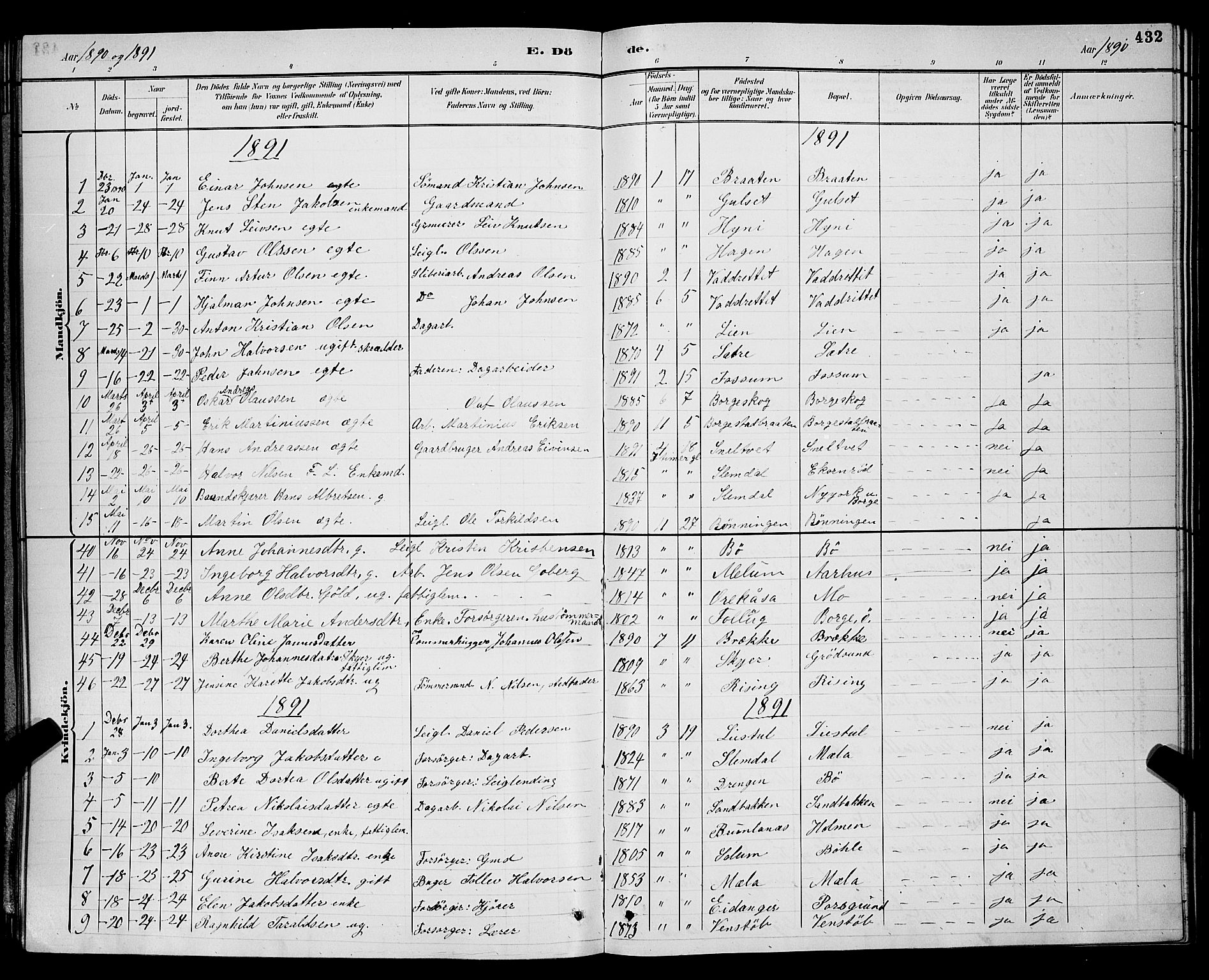 Gjerpen kirkebøker, SAKO/A-265/G/Ga/L0002: Parish register (copy) no. I 2, 1883-1900, p. 432