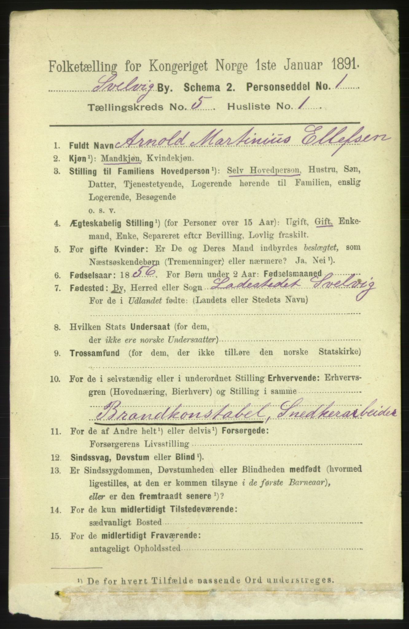 RA, 1891 census for 0701 Svelvik, 1891, p. 1839