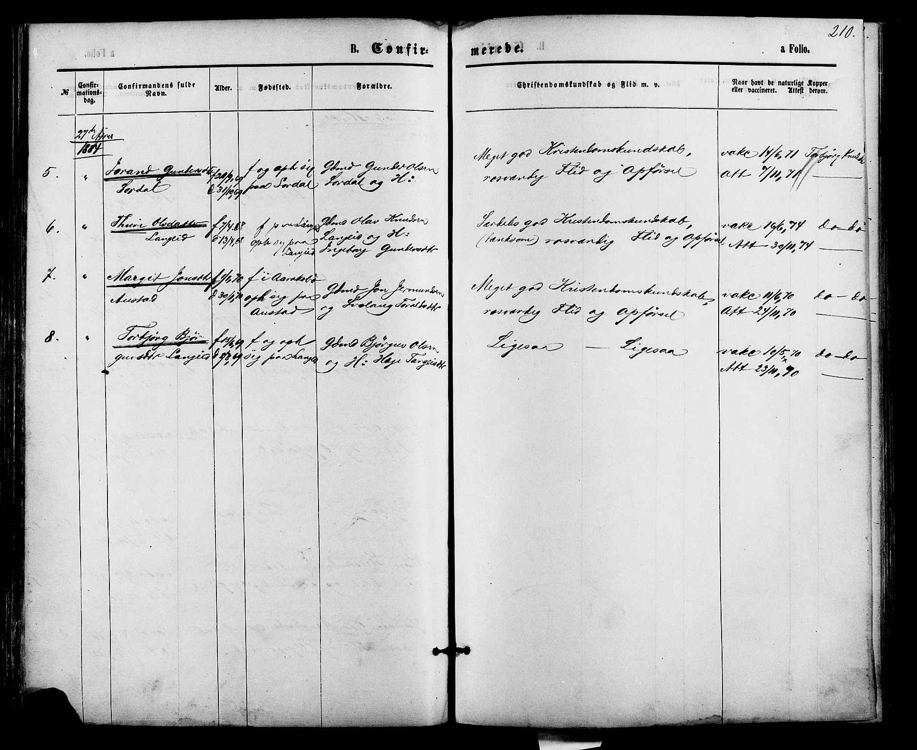 Bygland sokneprestkontor, AV/SAK-1111-0006/F/Fa/Fab/L0006: Parish register (official) no. A 6, 1873-1884, p. 210