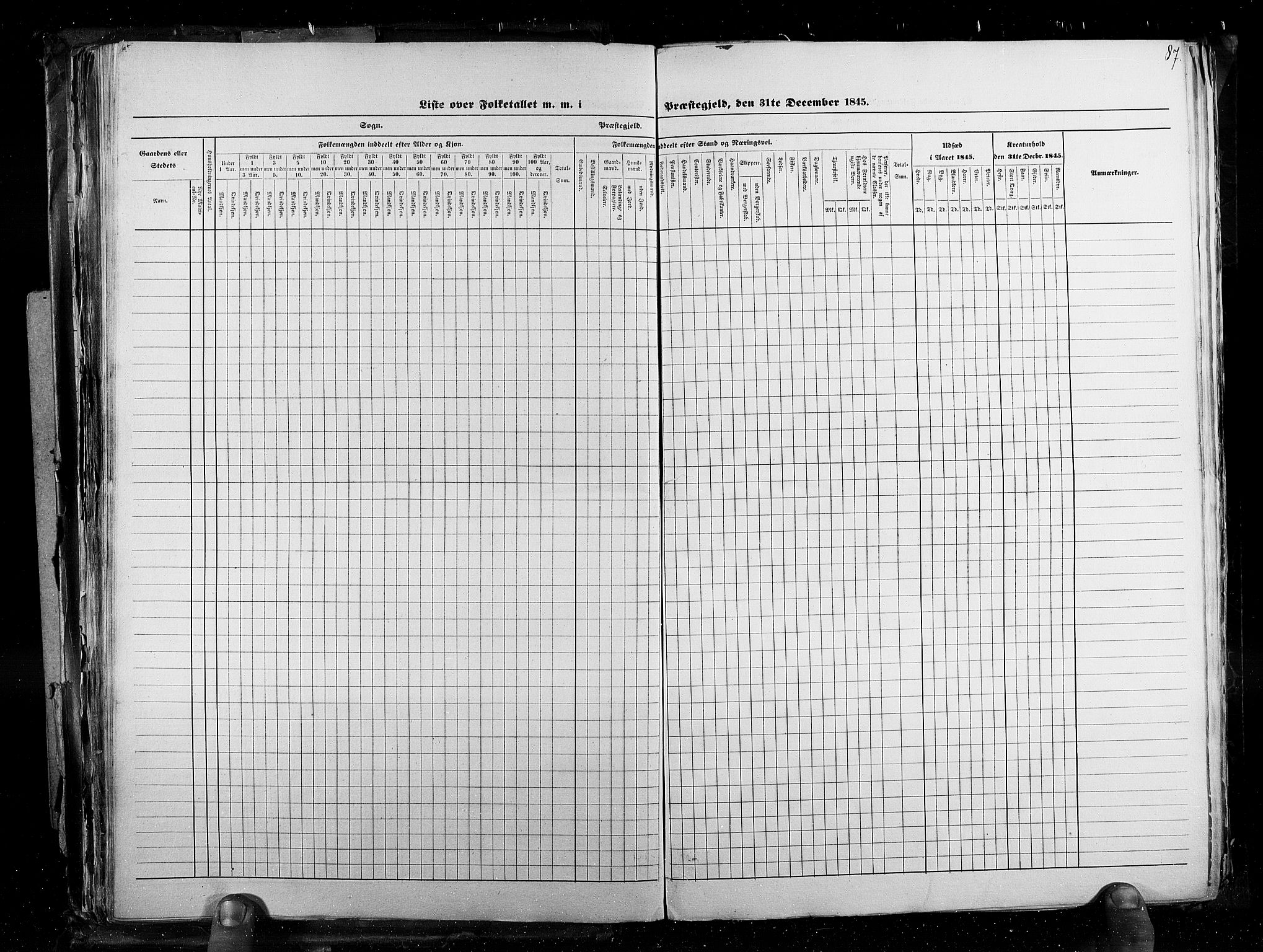 RA, Census 1845, vol. 3: Hedemarken amt og Kristians amt, 1845, p. 87